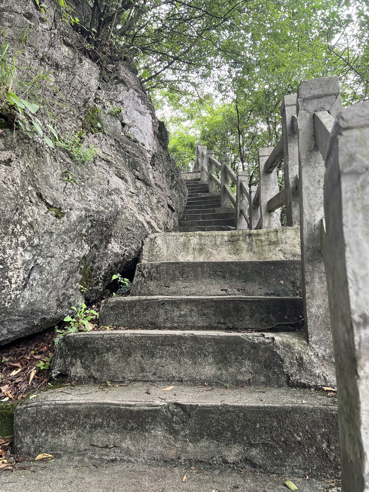 钟山公园旅行图片 2