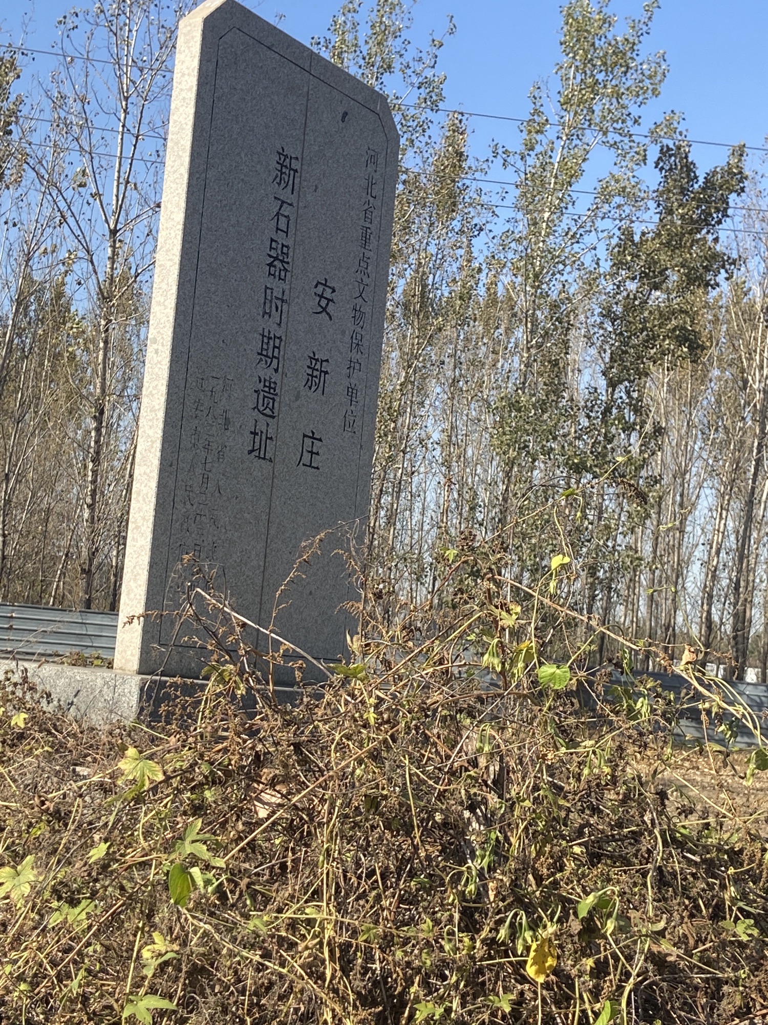 安新庄新石器时期遗址旅行图片
