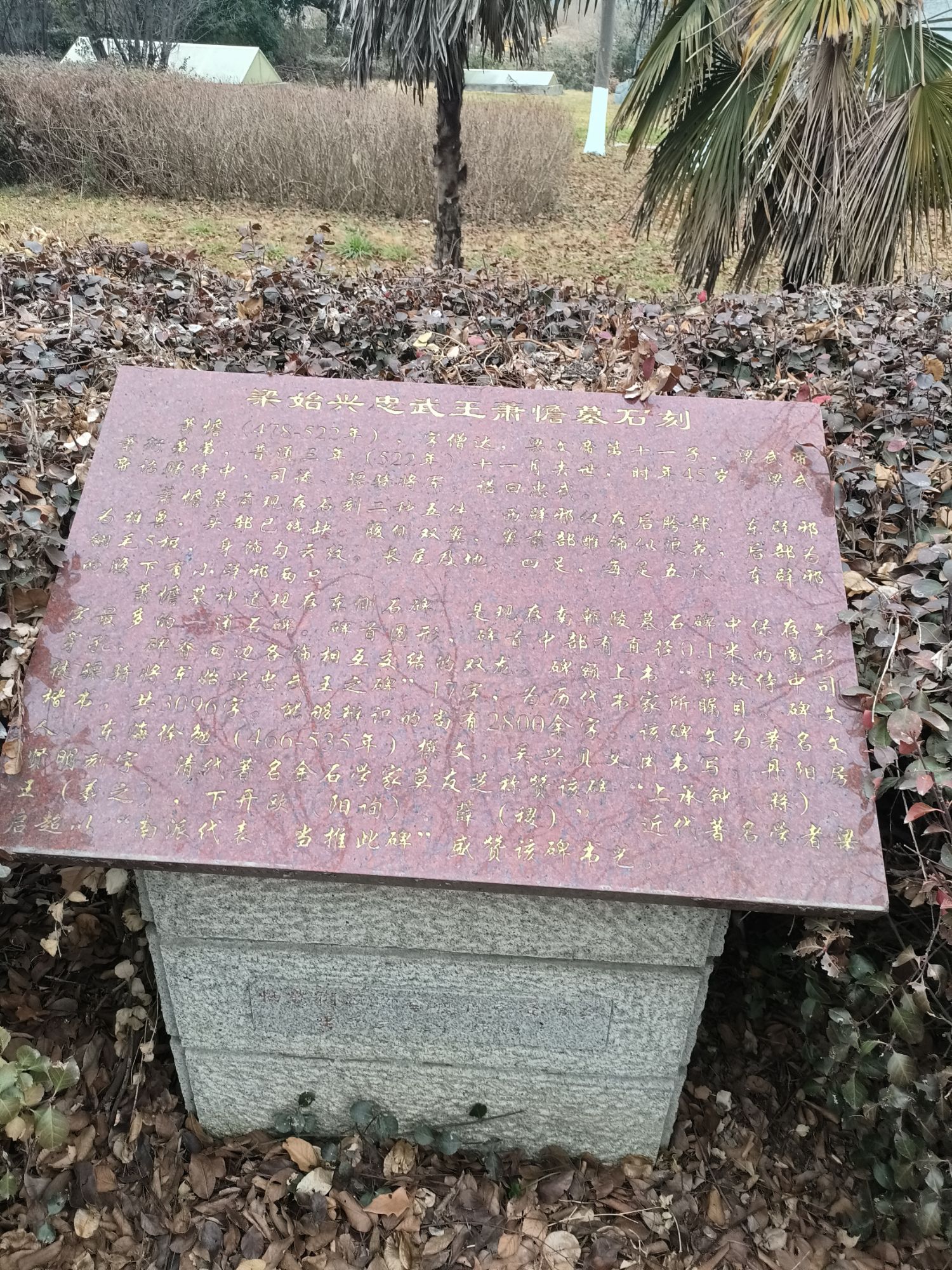 萧憺墓石刻旅行图片 2