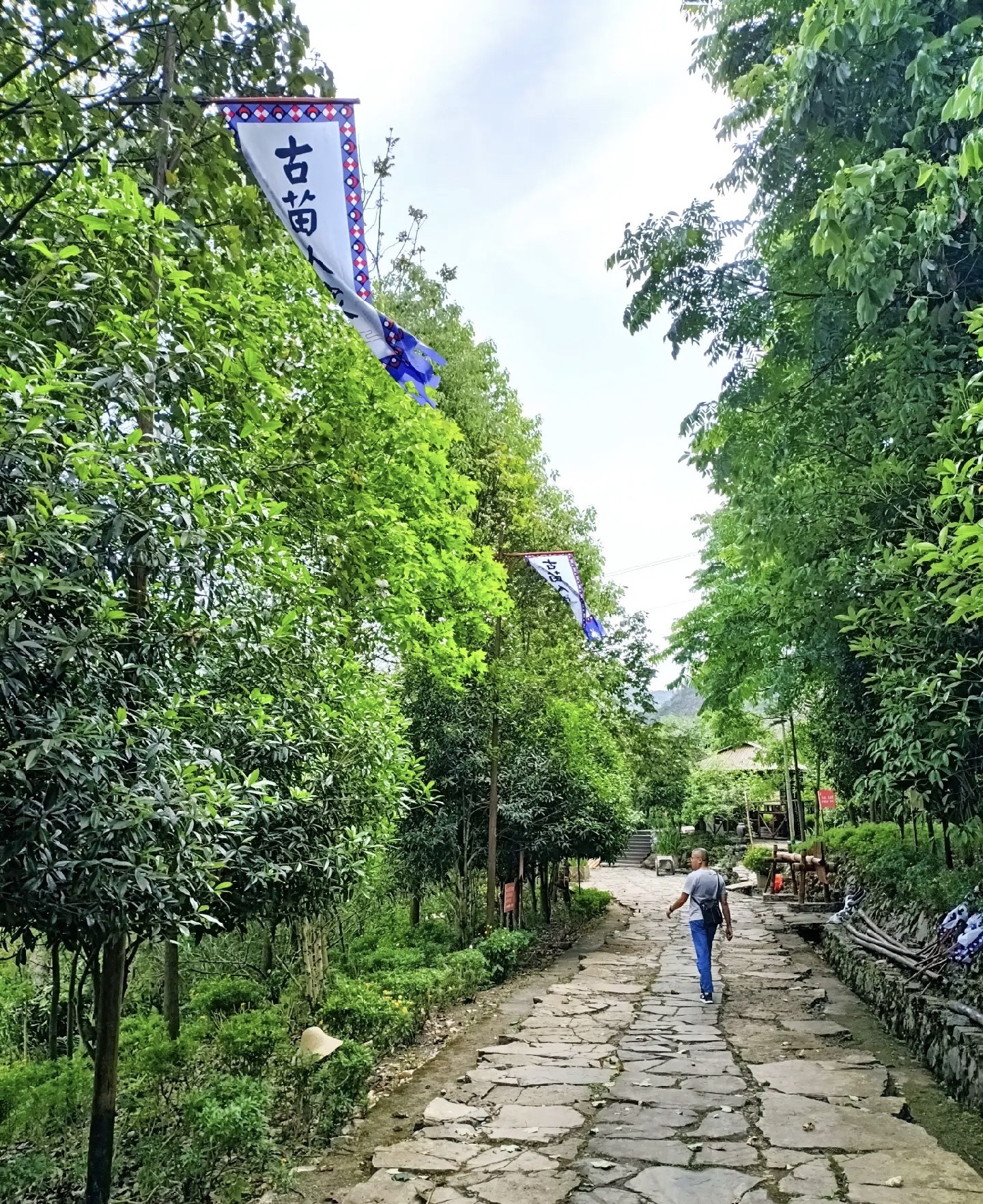石菊古地旅游景区旅行图片 2
