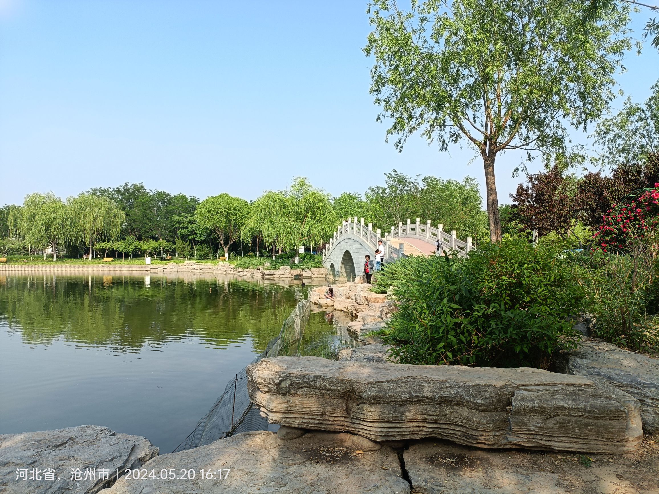 任丘市石化公园(慧园)旅行图片 3