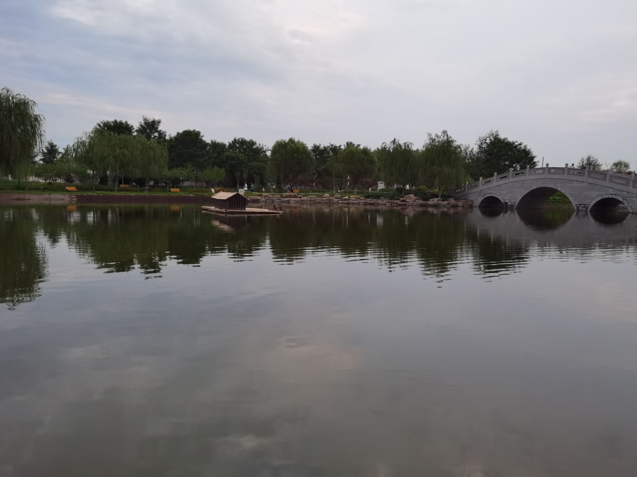 任丘市石化公园(慧园)旅行图片 3