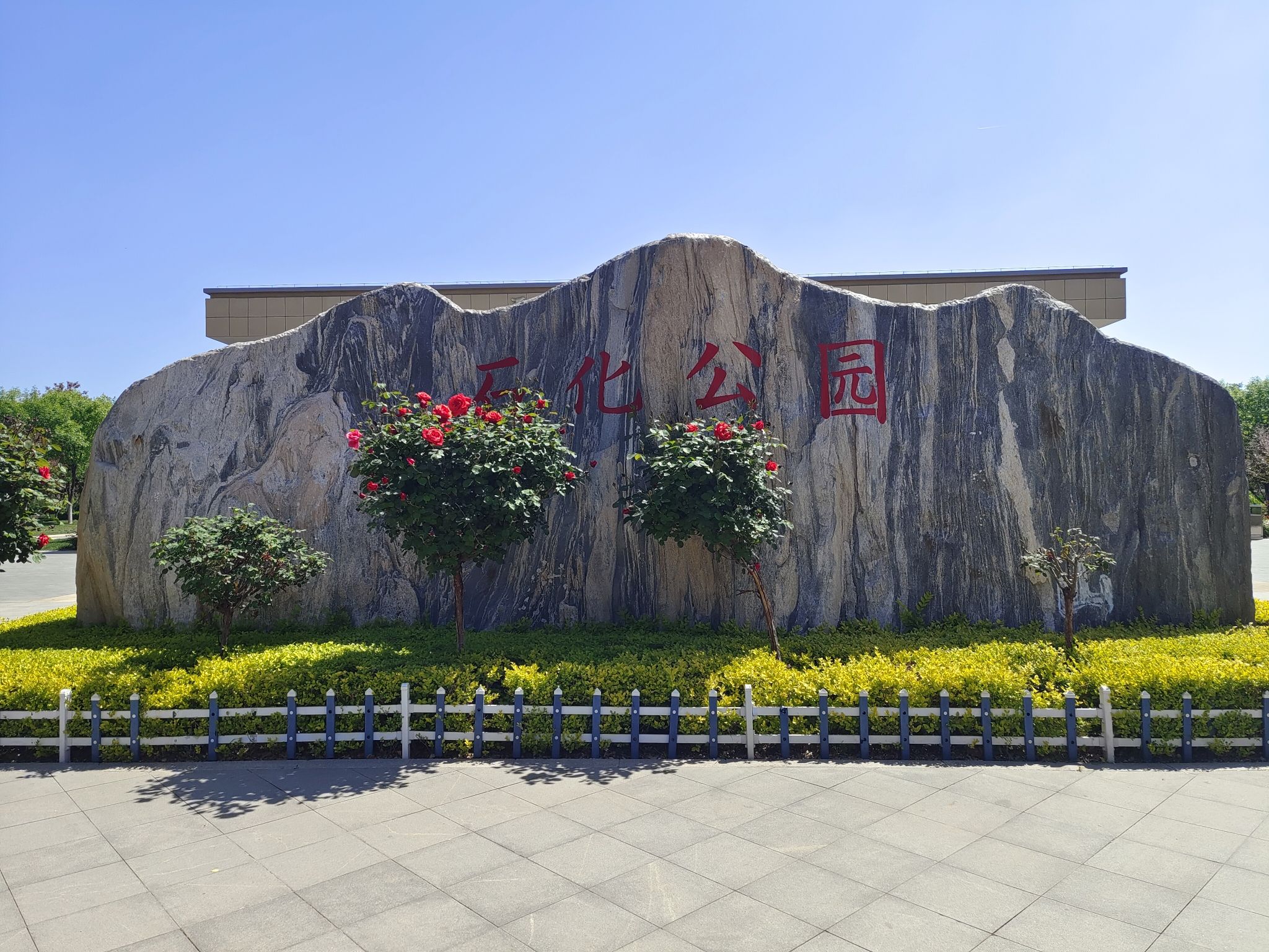 任丘市石化公园(慧园)旅行图片 1