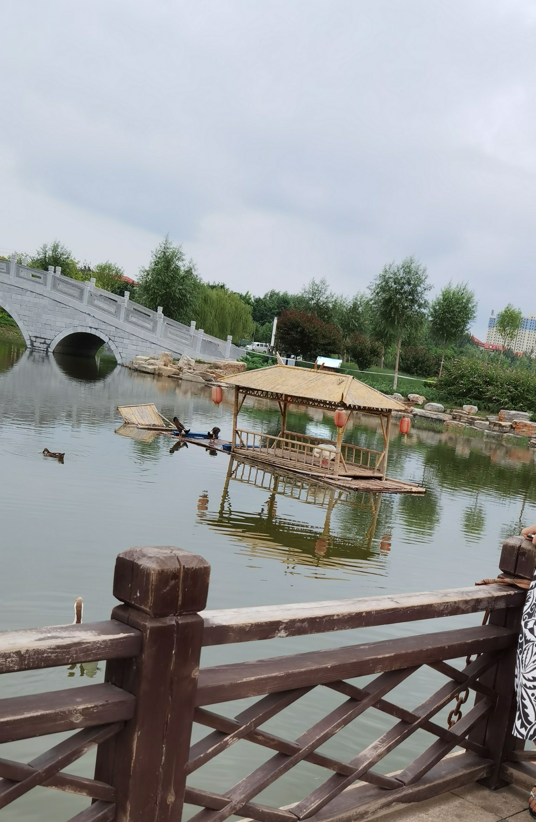 任丘市石化公园(慧园)旅行图片 2