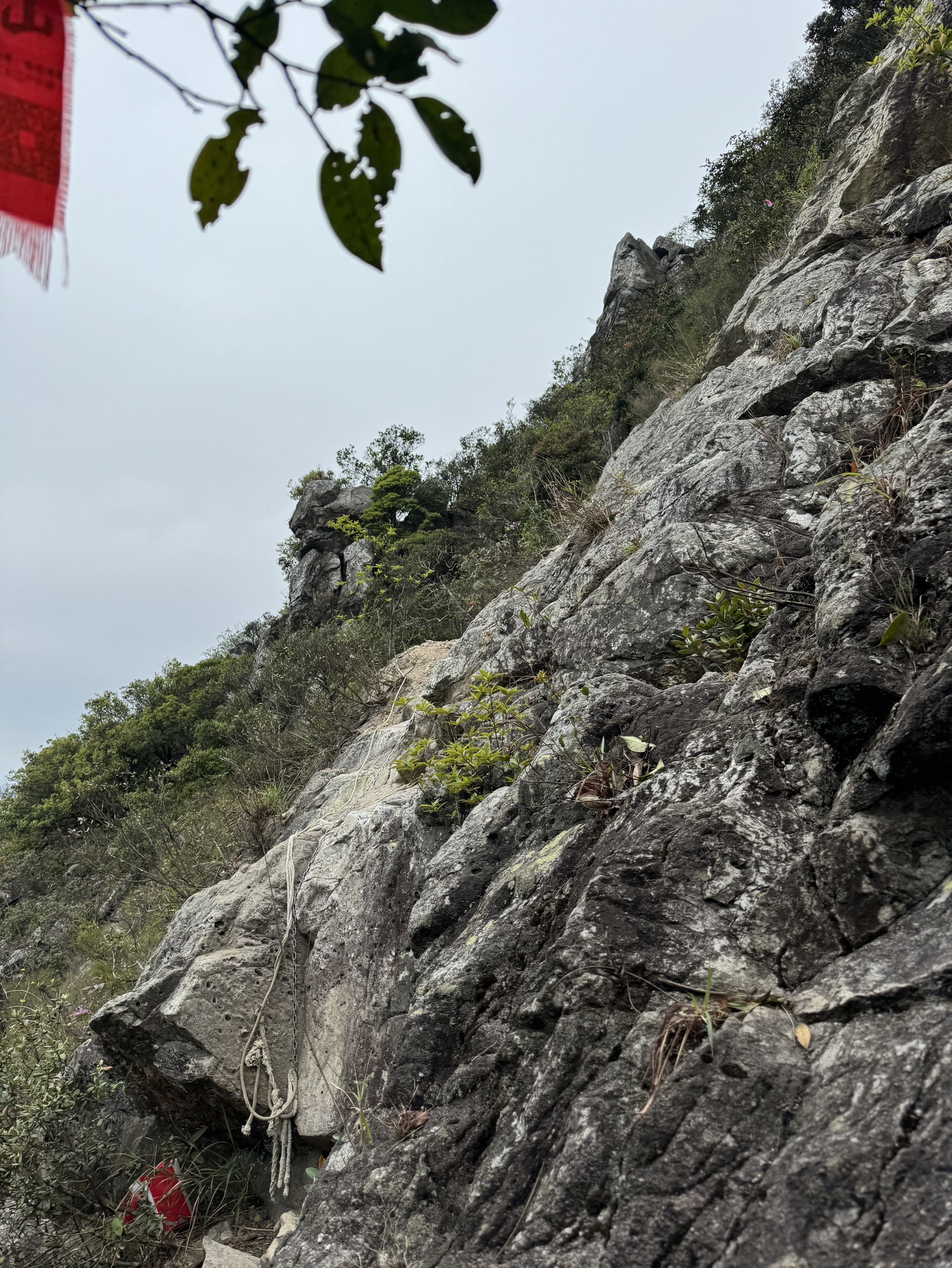 排牙山旅行图片 2