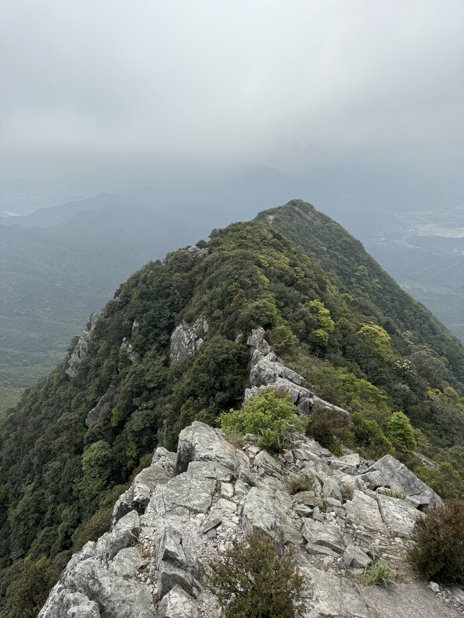 排牙山旅行图片 3