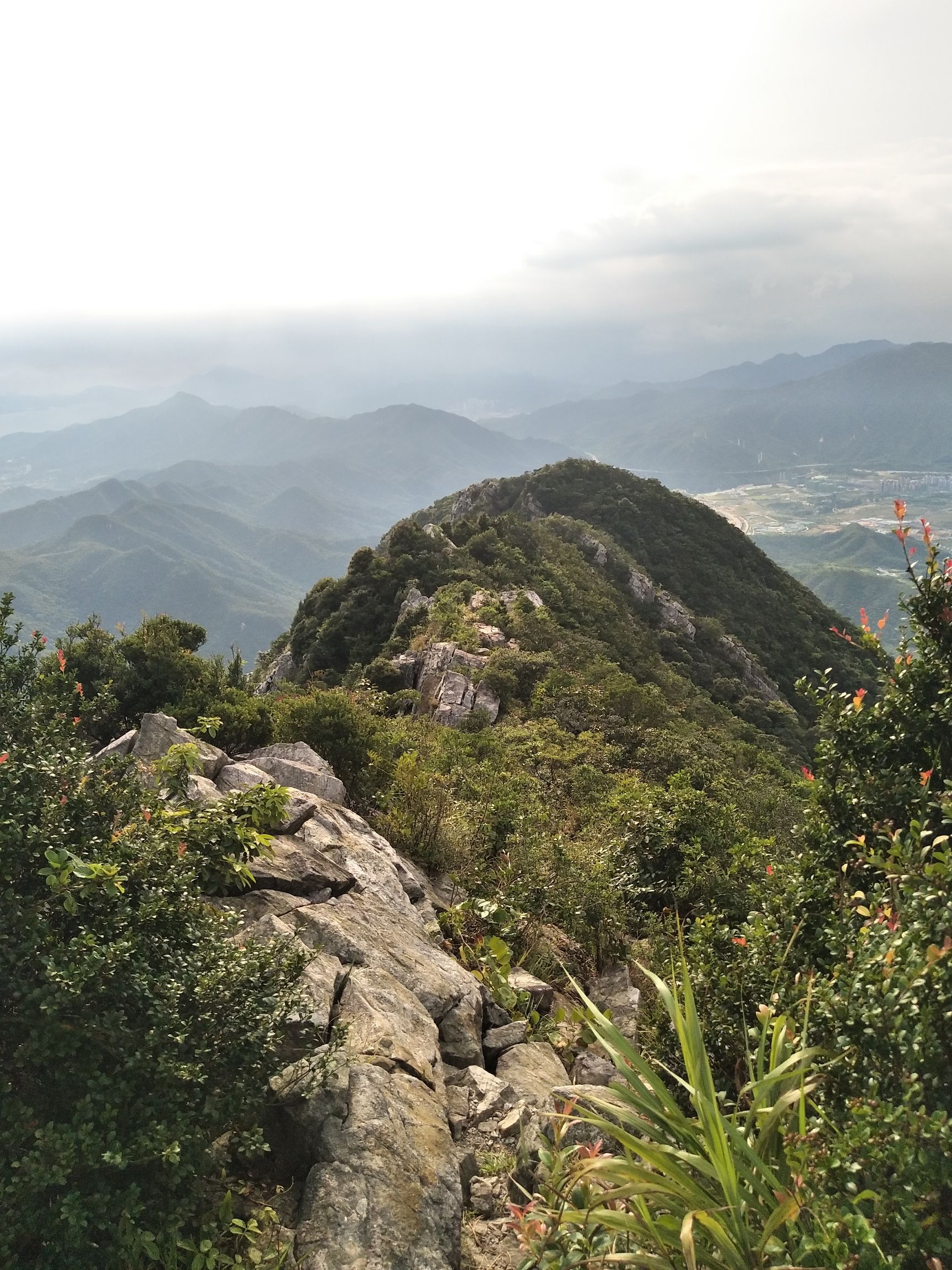 排牙山旅行图片 1