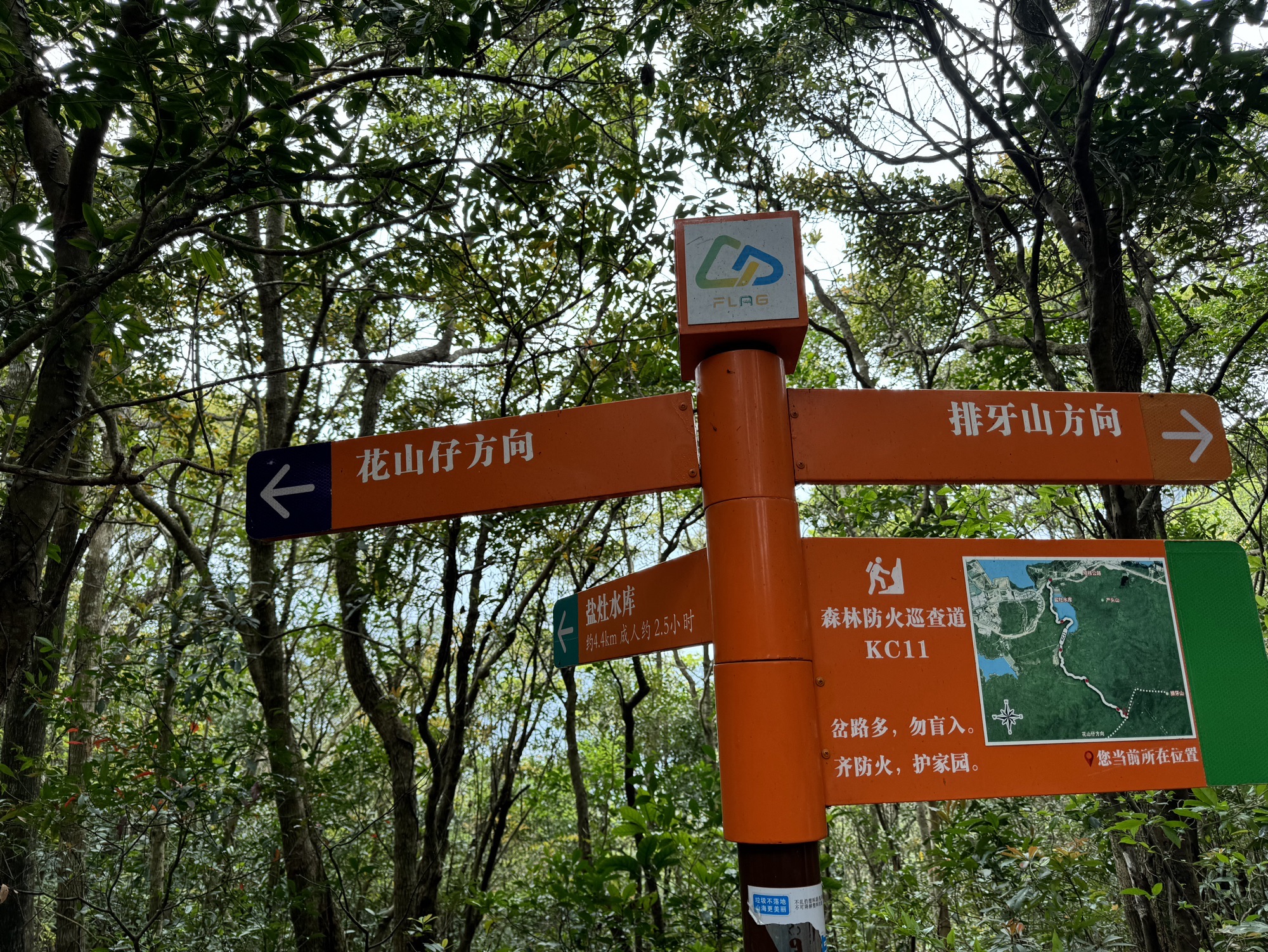 排牙山旅行图片 1