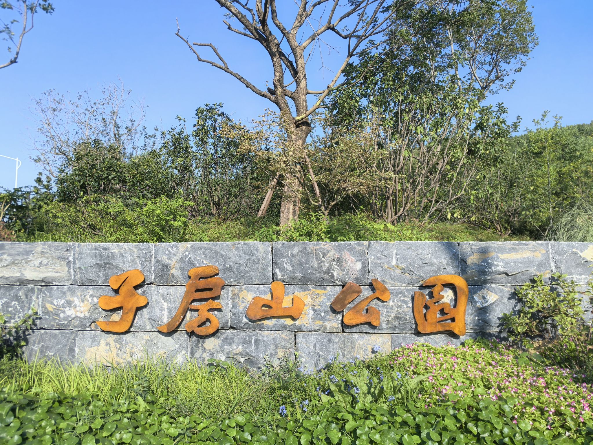 子房山山体公园旅行图片 1
