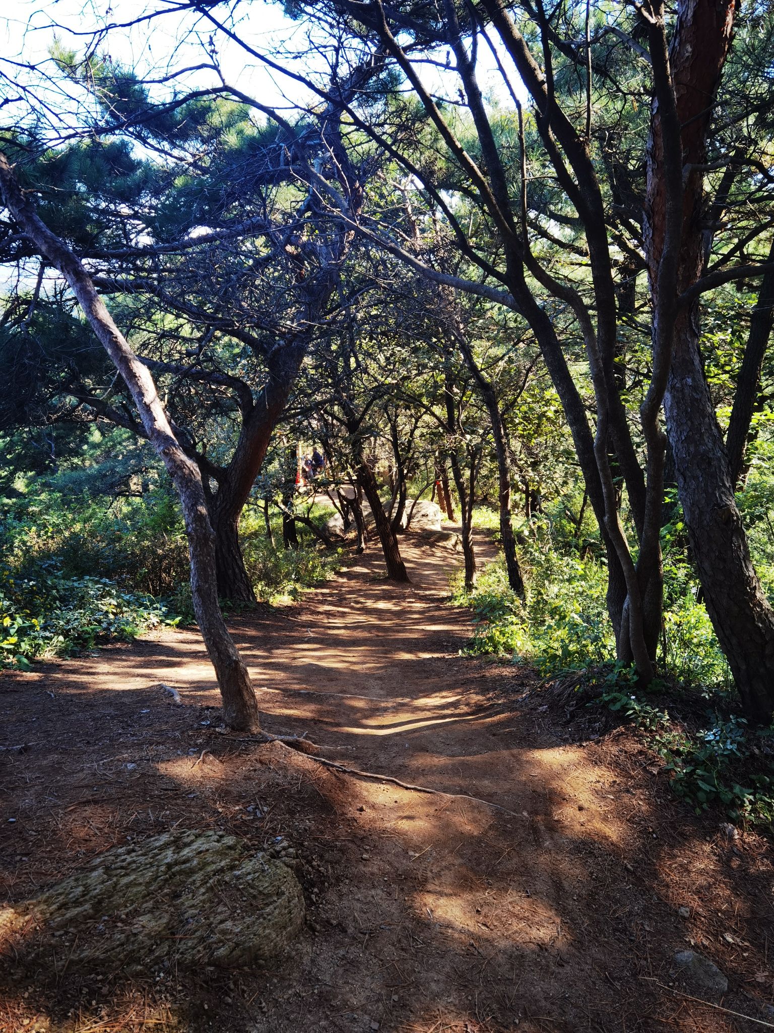 小黑山风景区旅行图片 3