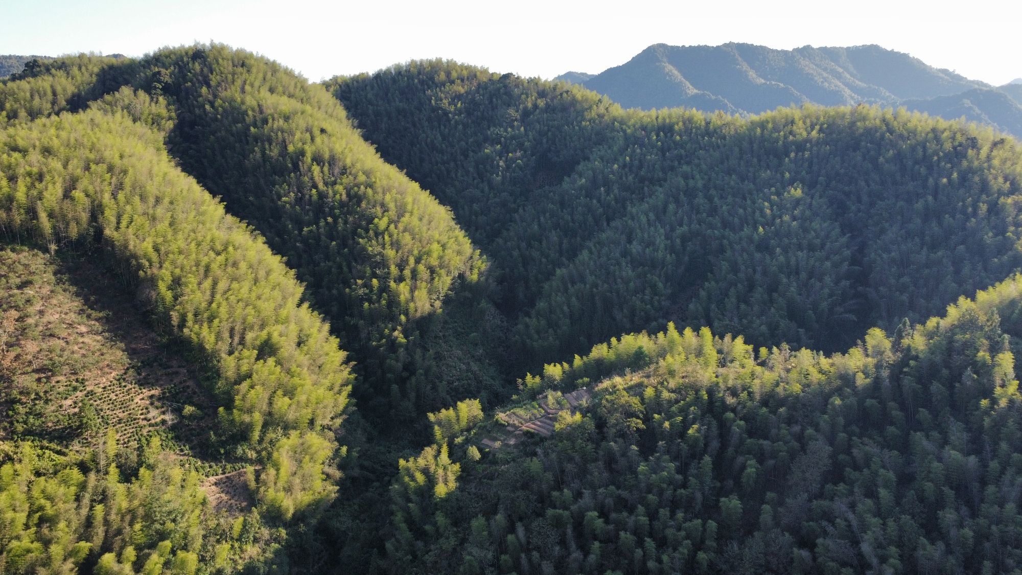 菊径村至古坦张安村登山步道旅行图片 2