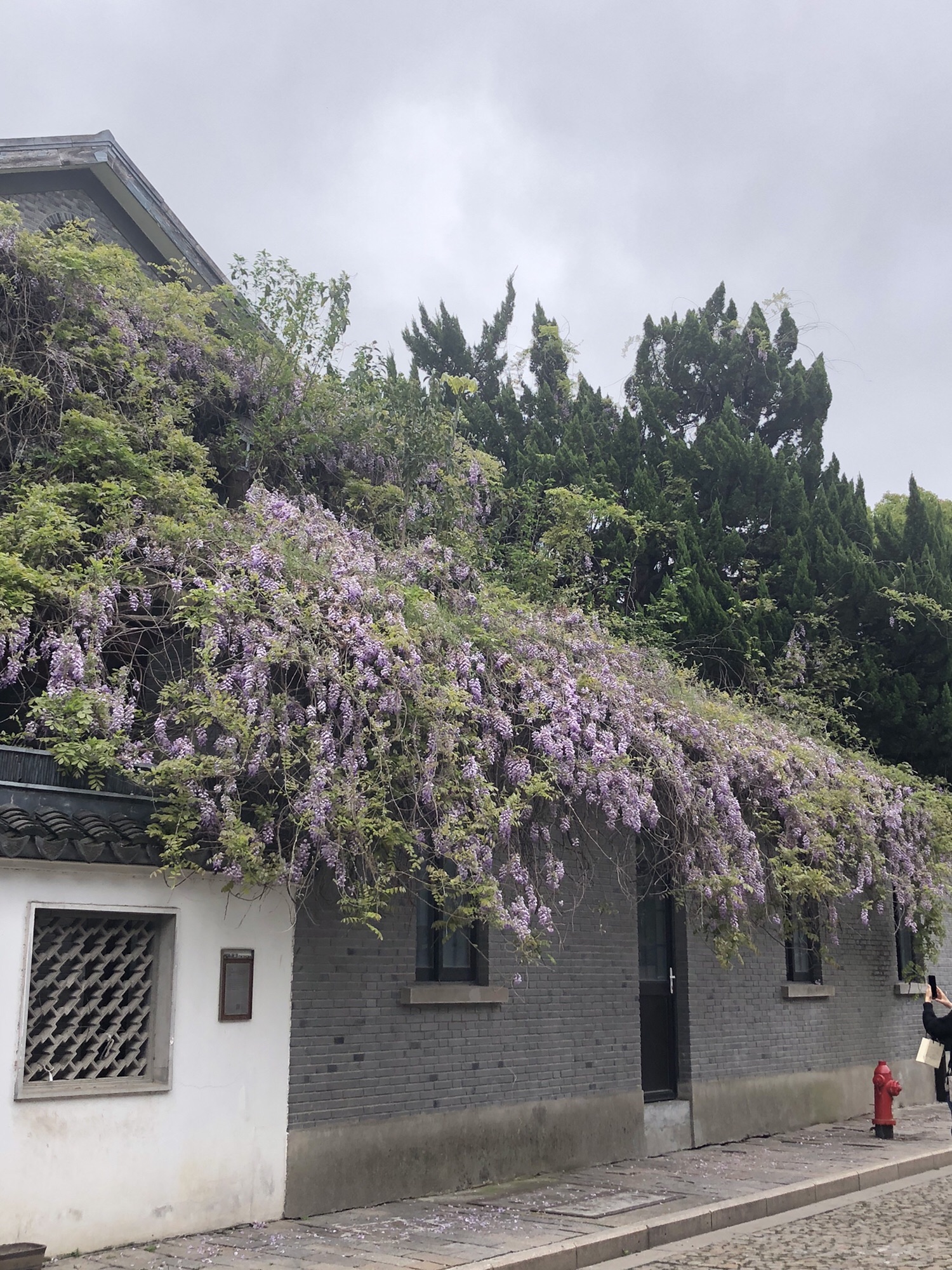 嘉定州桥景区旅行图片 1