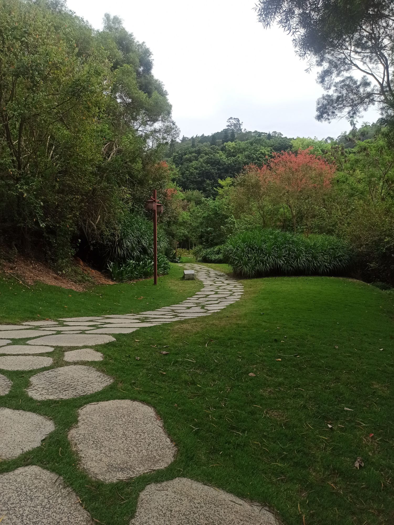 上李水库公园旅行图片 1