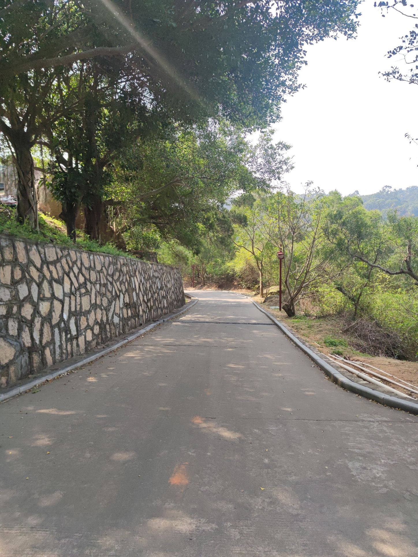 上李水库公园旅行图片 3