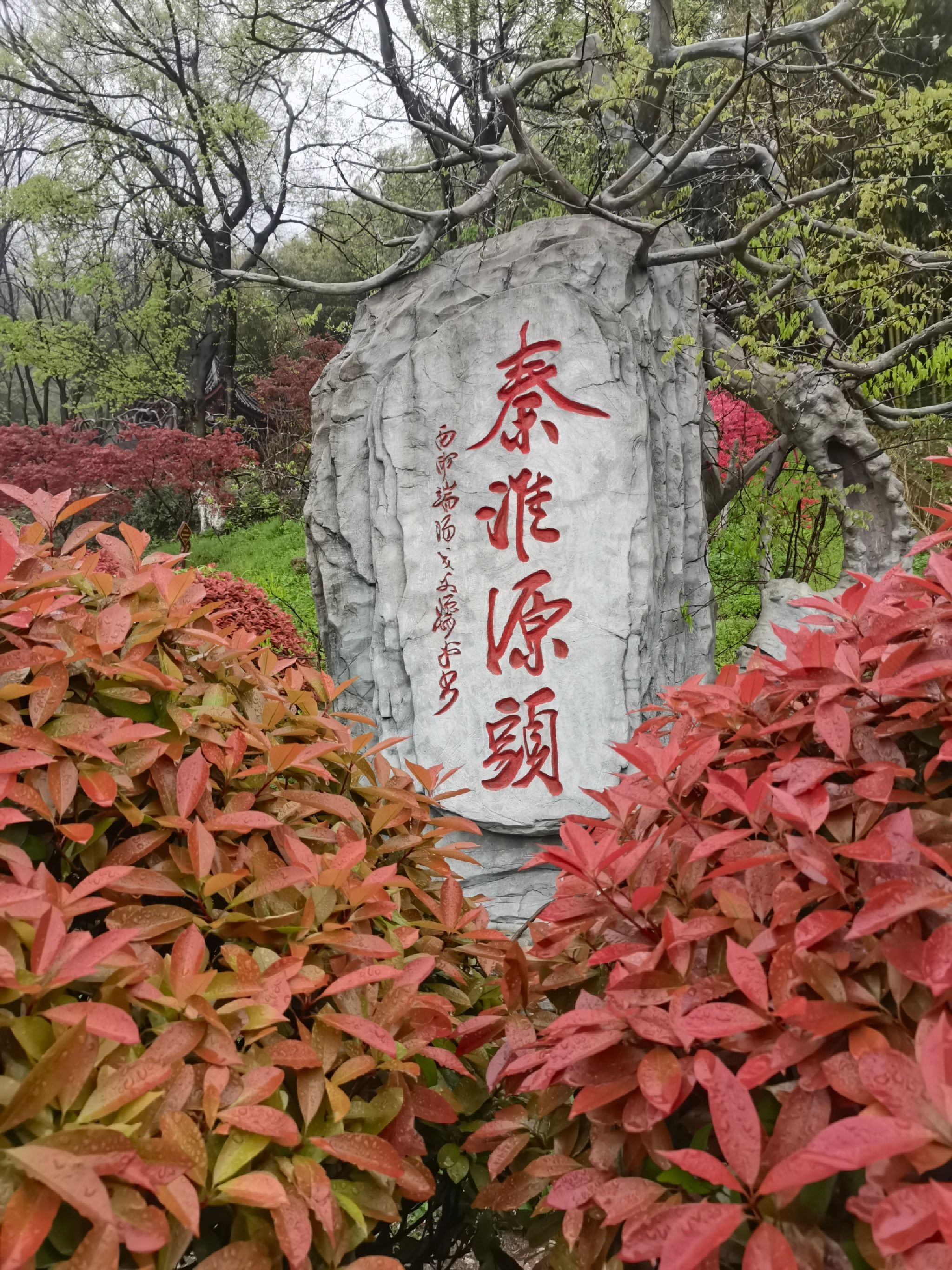 东庐山旅行图片 1