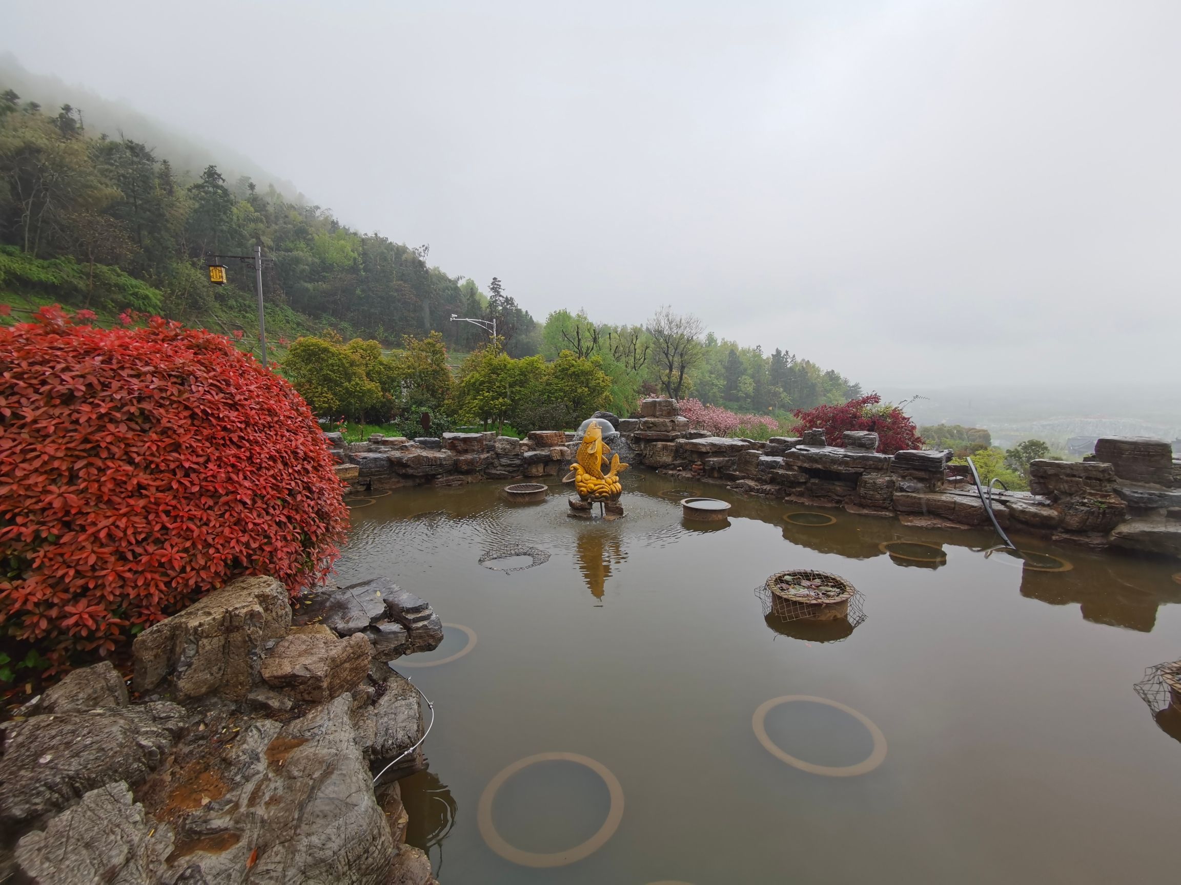东庐山旅行图片 3