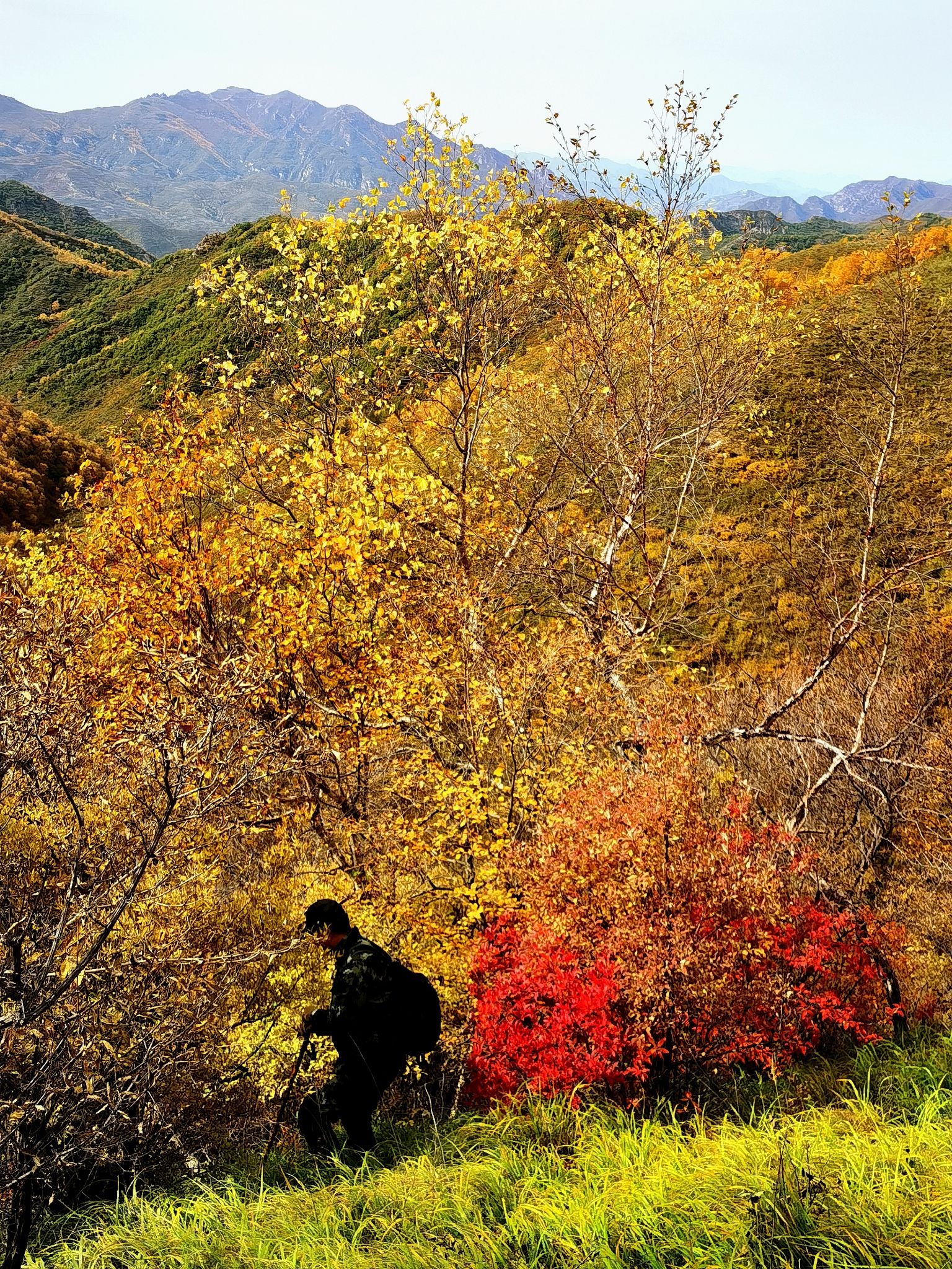 西灵山旅行图片 3
