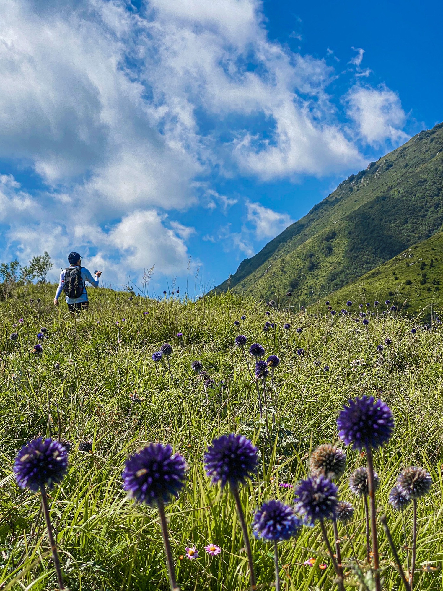 西灵山旅行图片 1