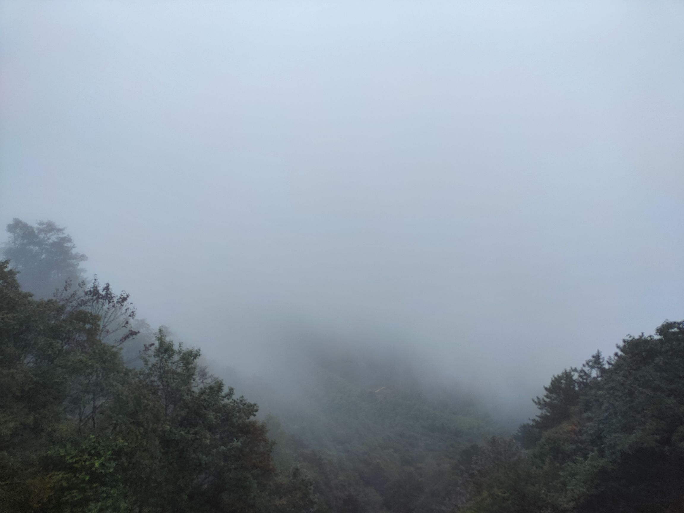 双苗尖风景区旅行图片 3