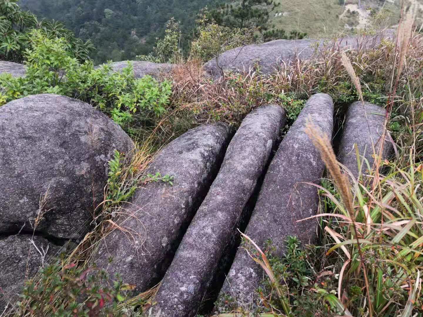双苗尖风景区旅行图片 3