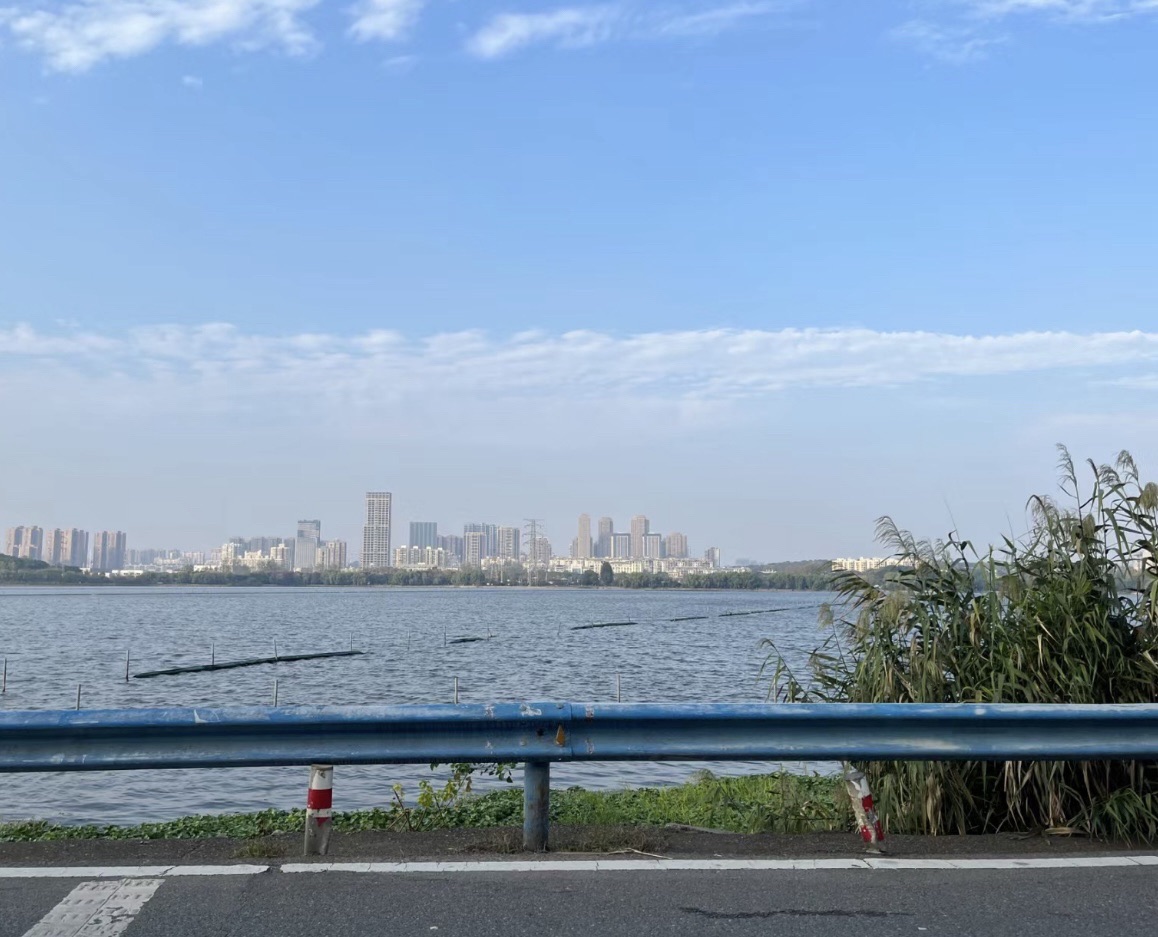 野芷湖旅行图片 2