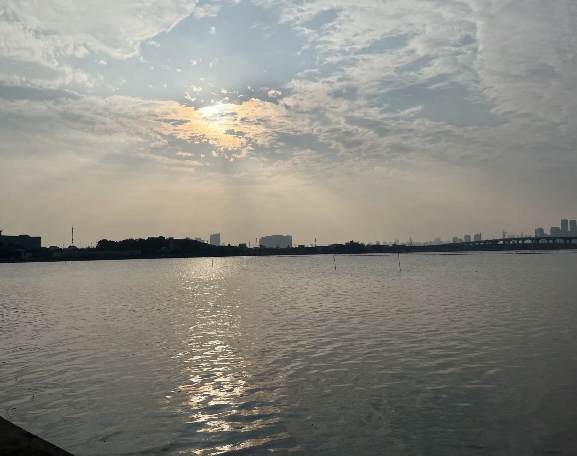 野芷湖旅行图片 3