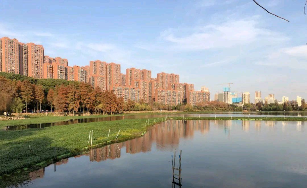 野芷湖旅行图片 3