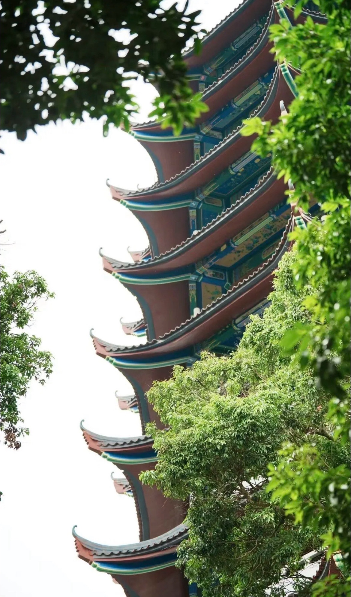 谢鞋山旅行图片 2
