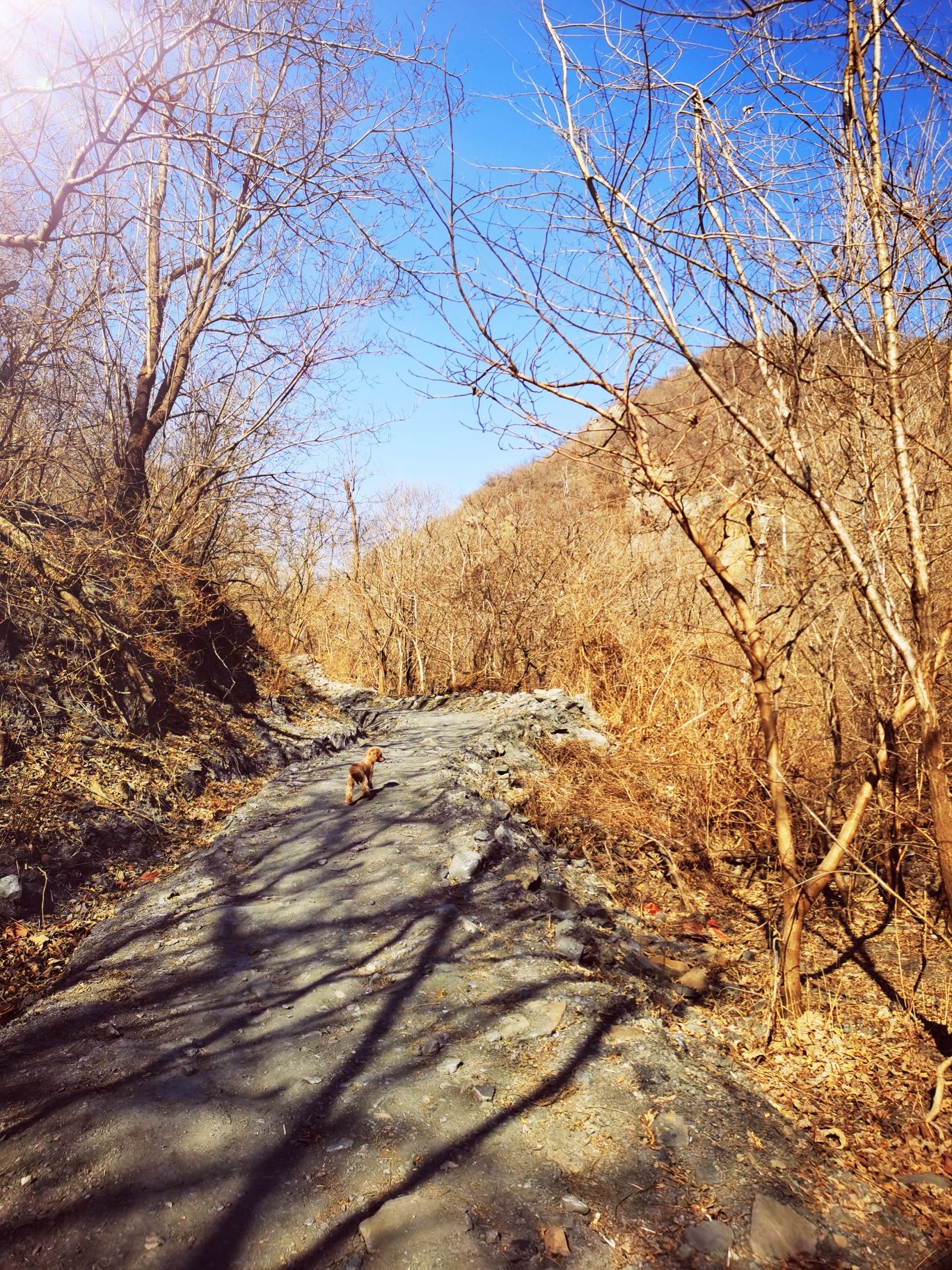 龙骨山旅行图片 2