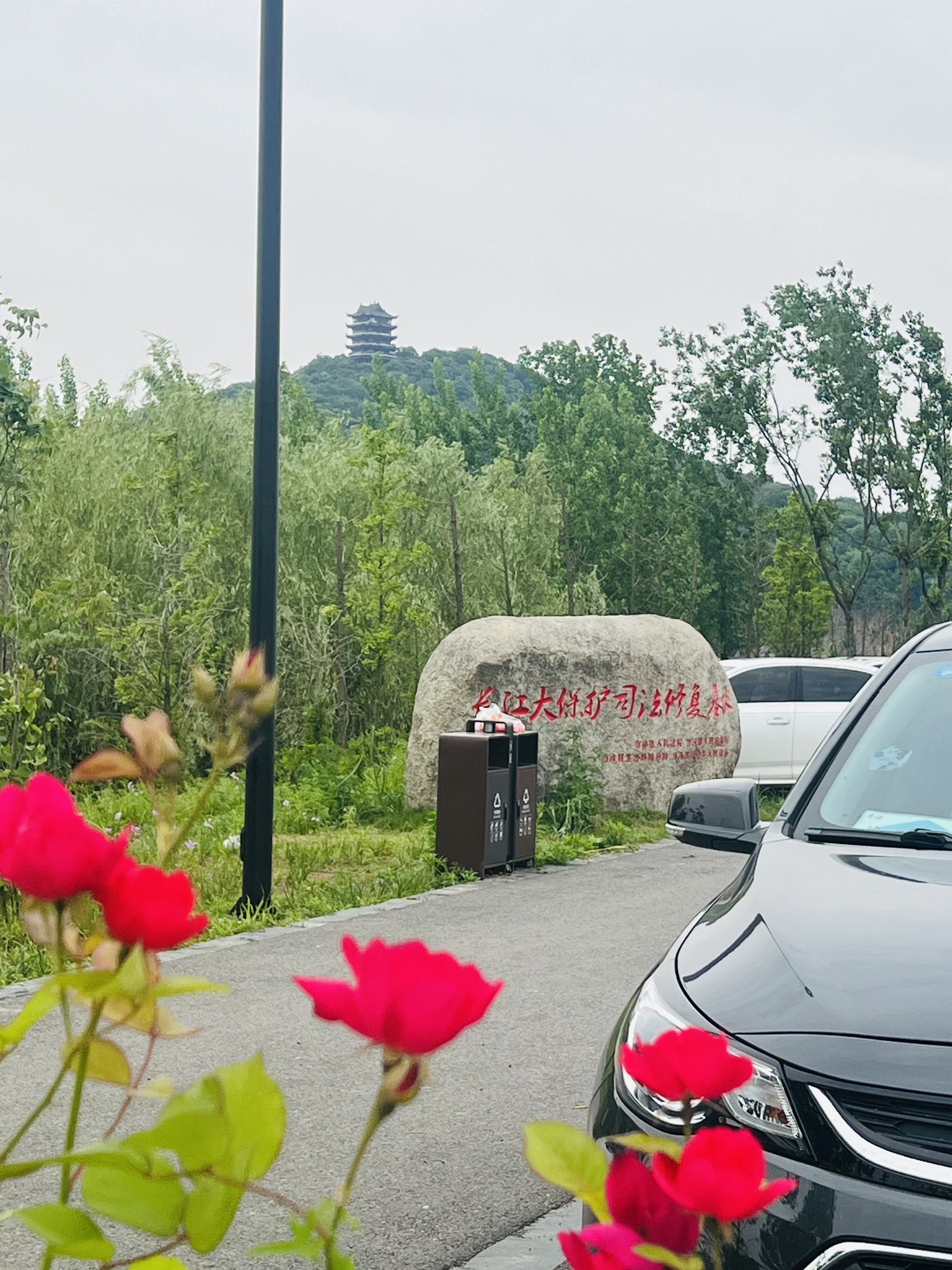江心洲(建设中)旅行图片 3