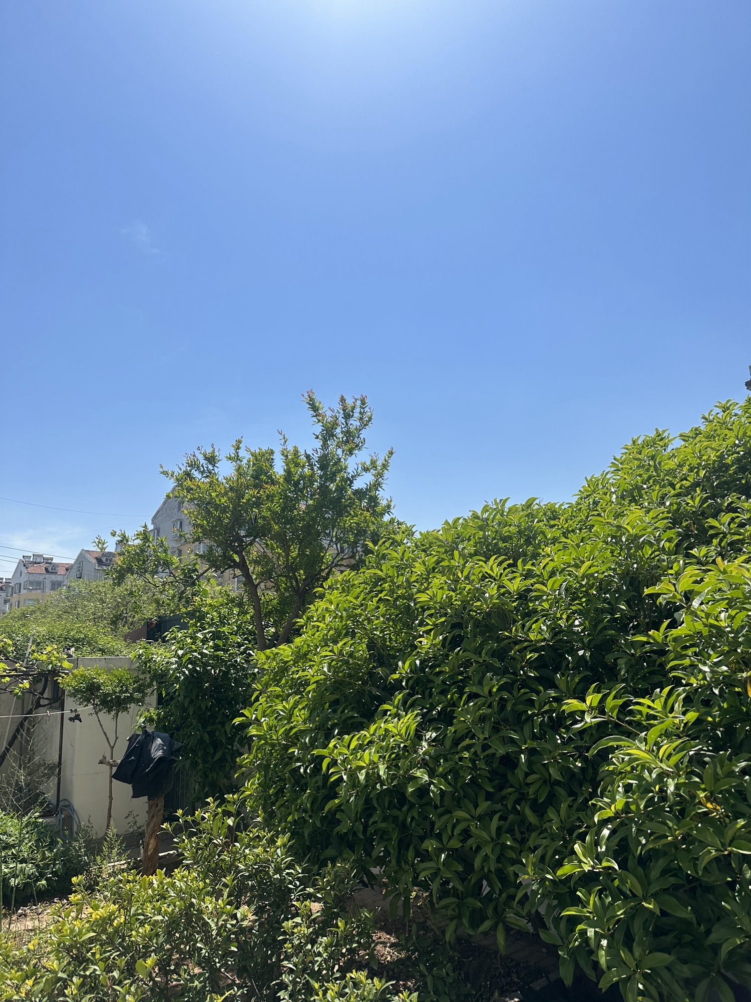 康乐健身广场旅行图片 1