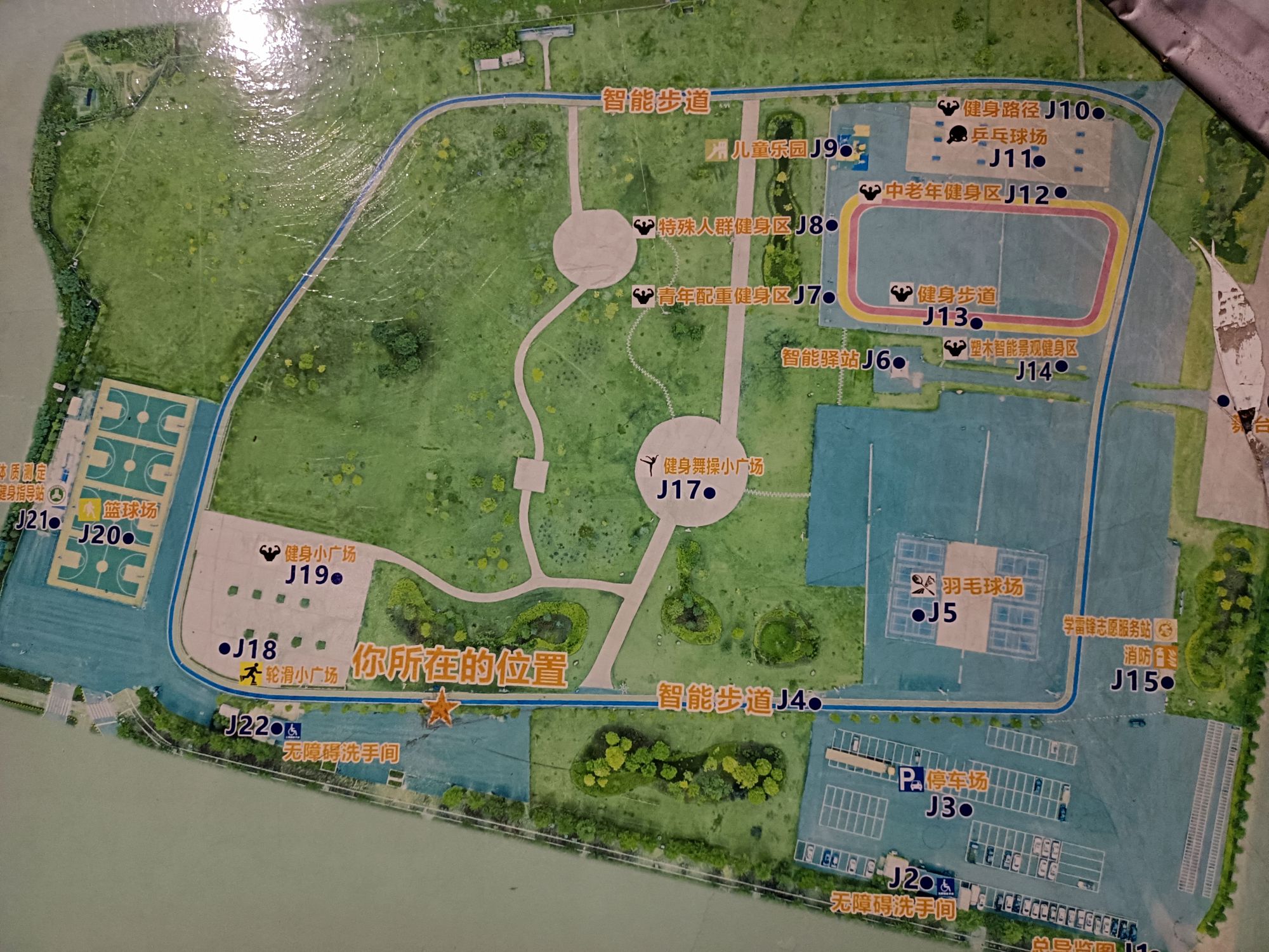 鼎湖区体育公园旅行图片 1