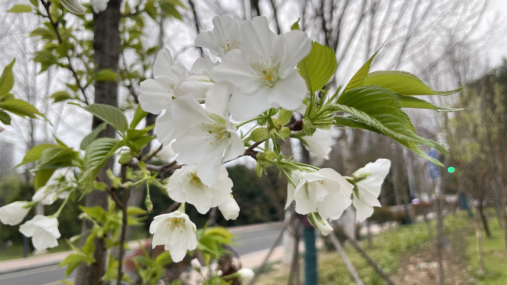 滨水公园旅行图片 1