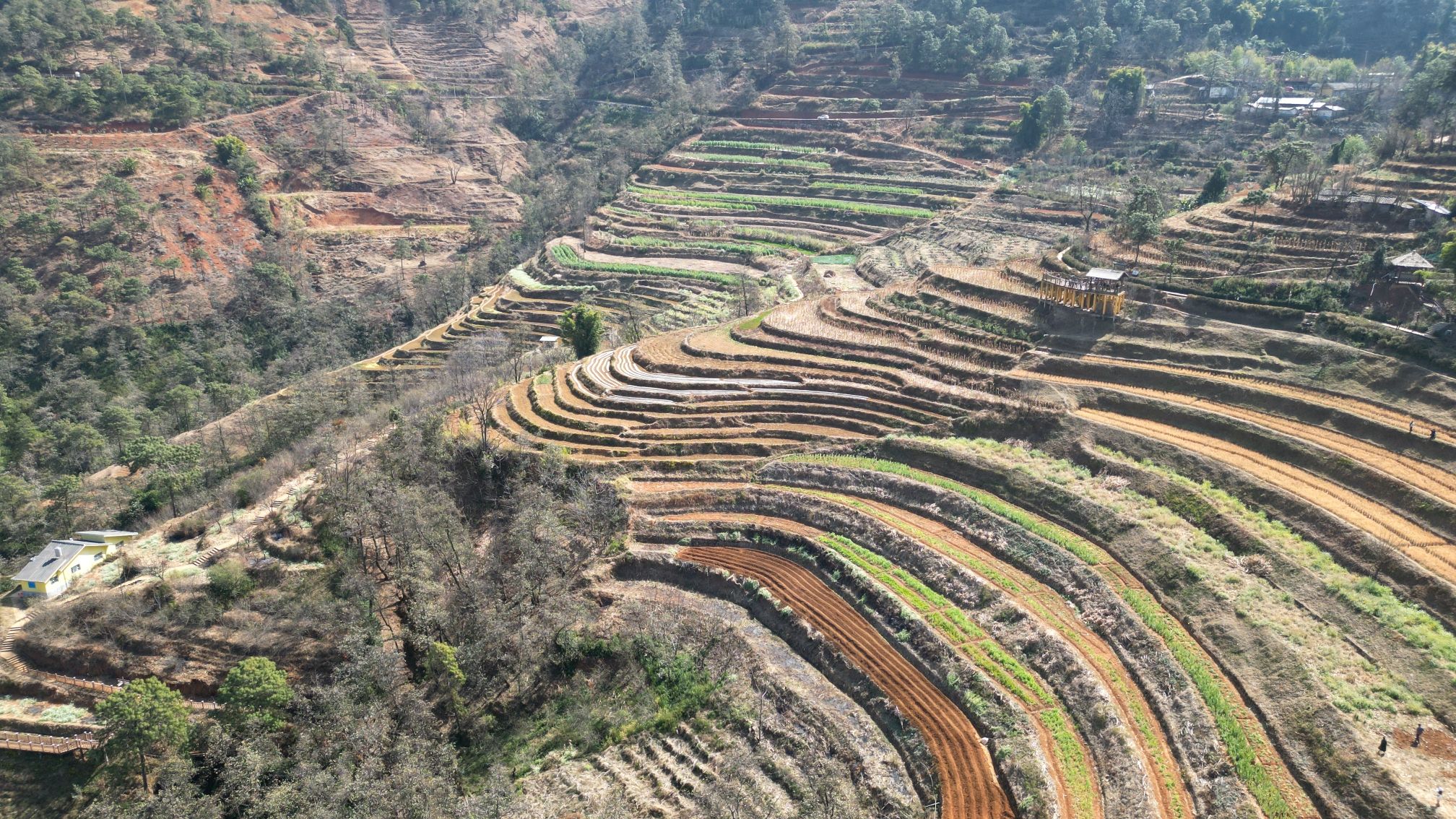 米易梯田旅行图片 1