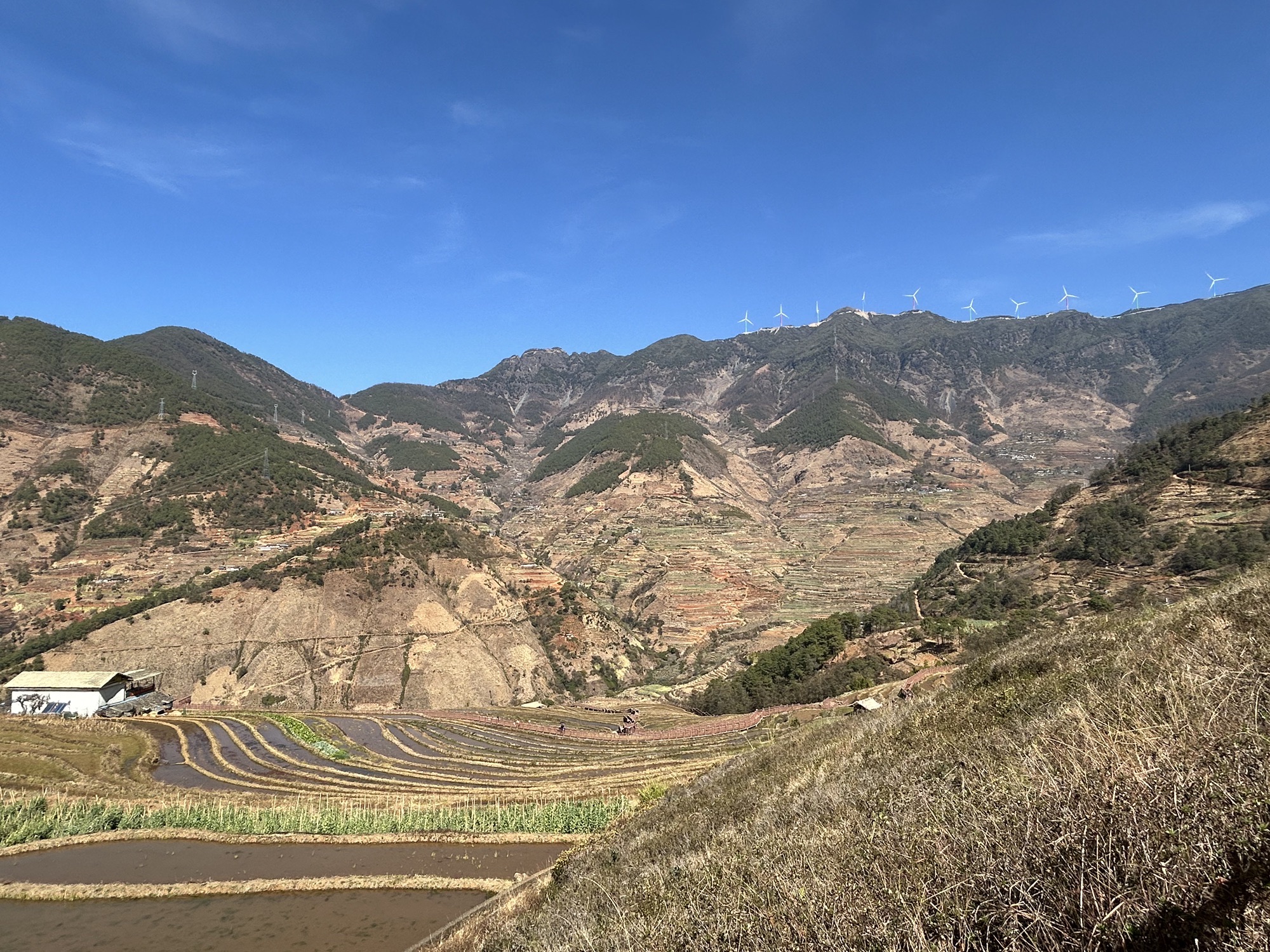 米易梯田旅行图片 1
