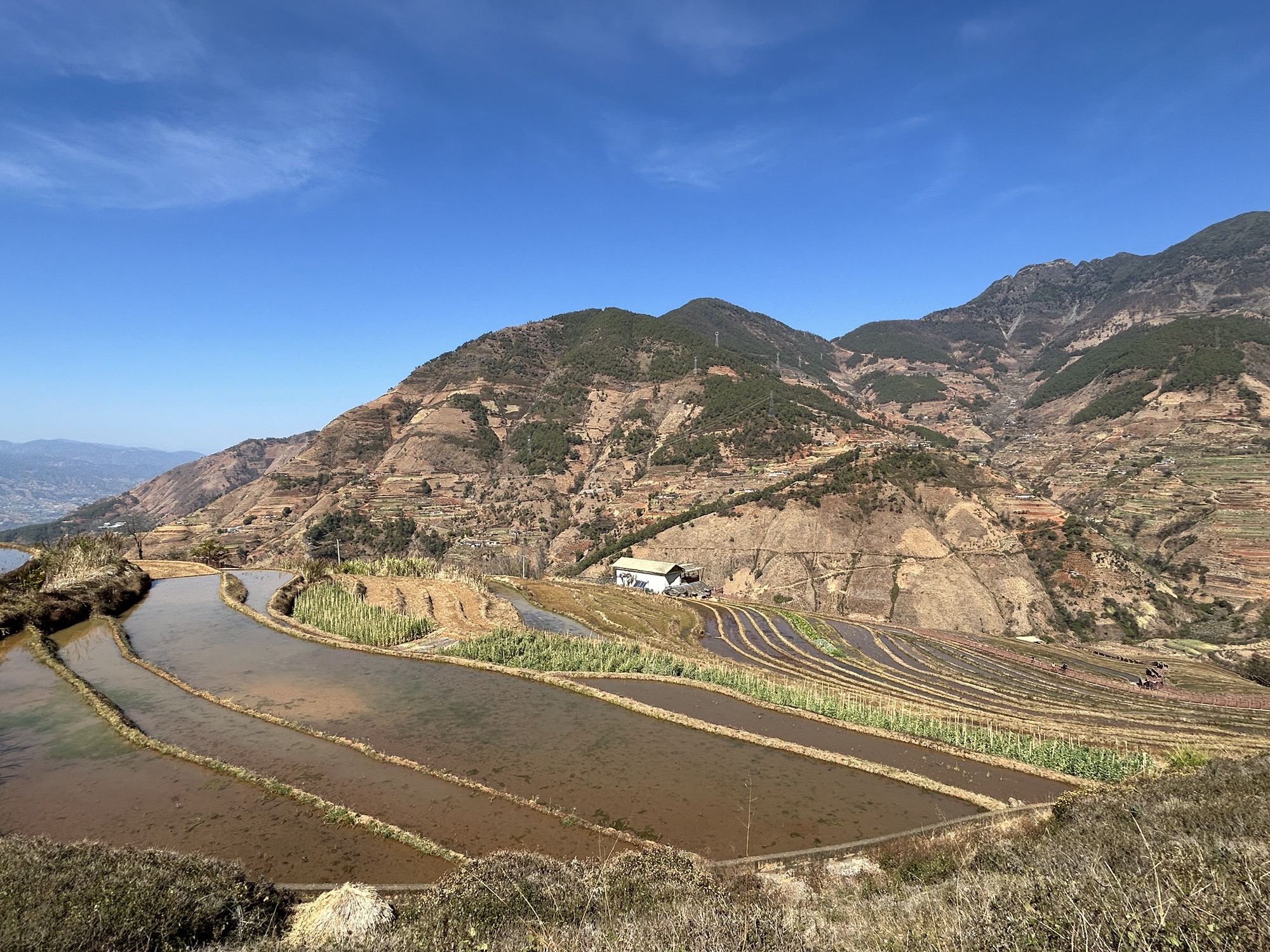 米易梯田旅行图片 3