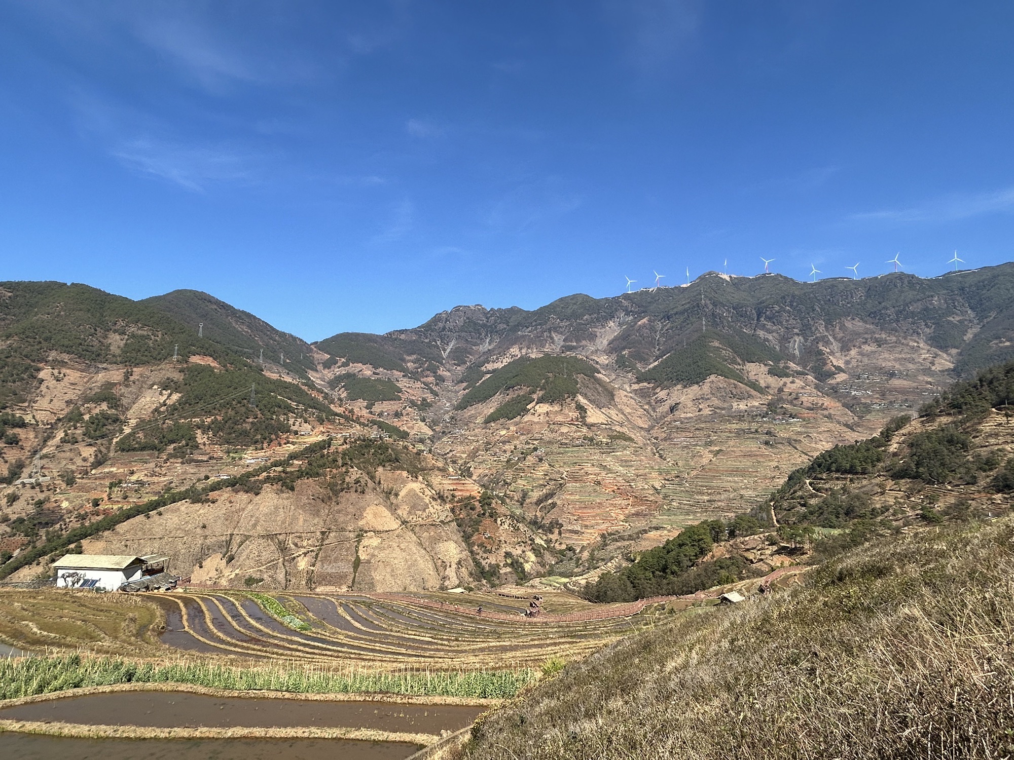 米易梯田旅行图片 2