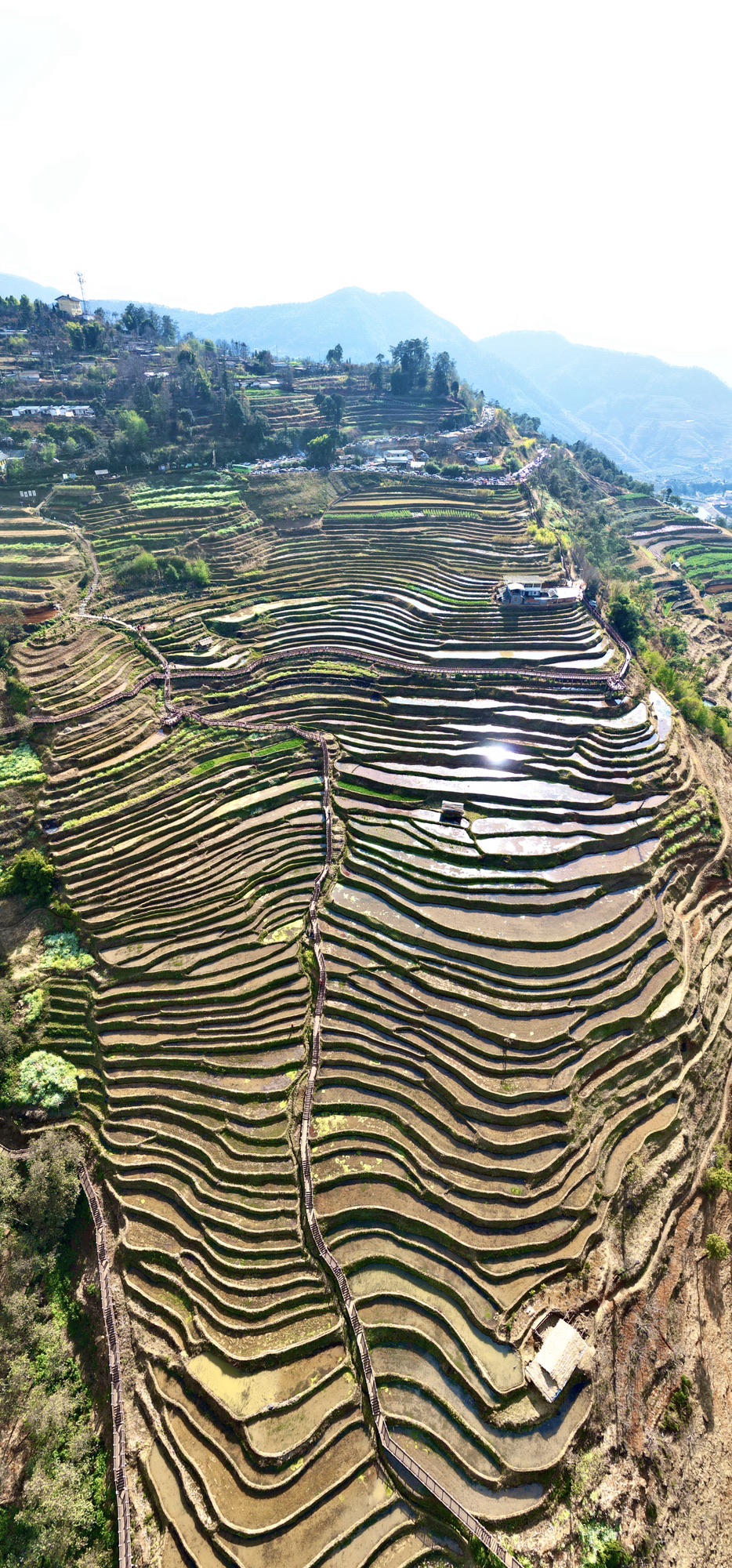 米易梯田旅行图片 3