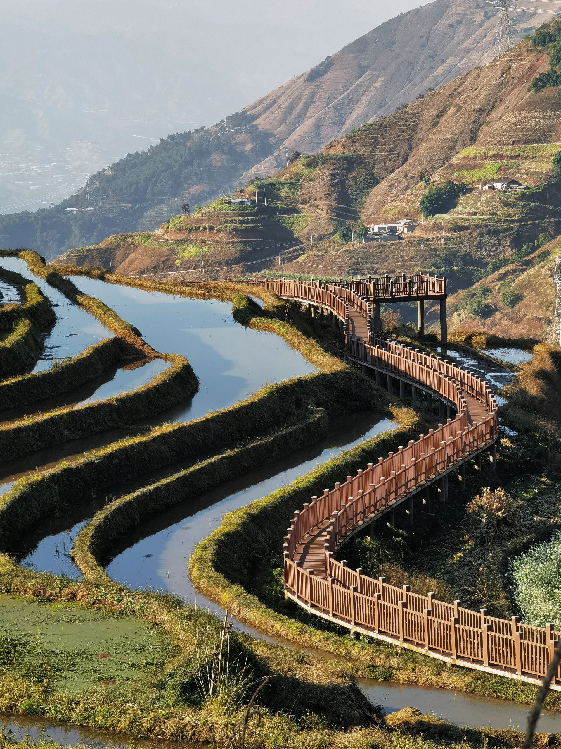 米易梯田旅行图片 2