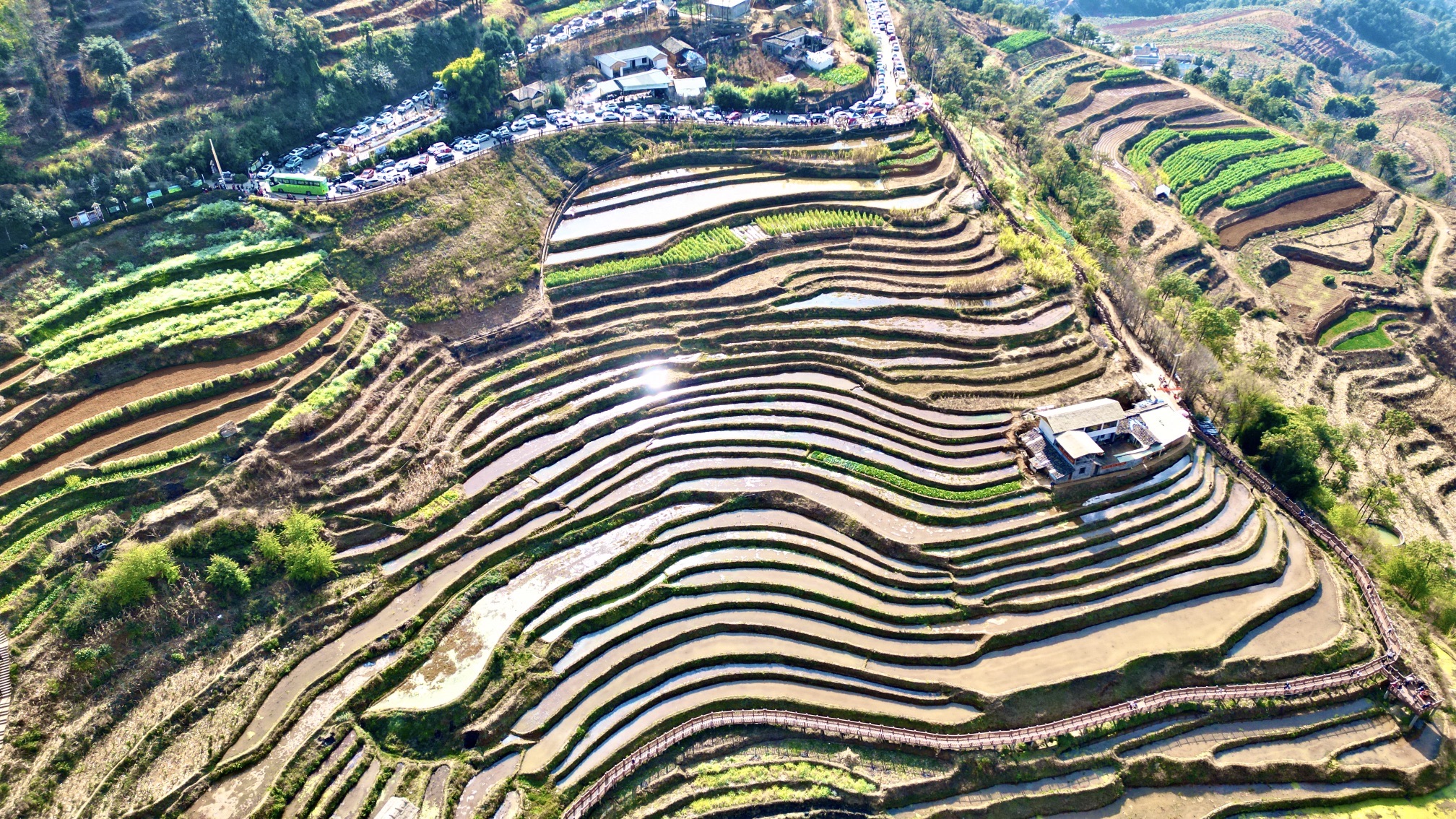 米易梯田旅行图片 2