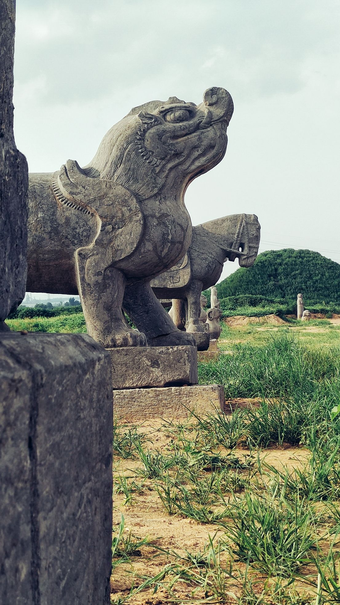 宋陵-永安陵旅行图片