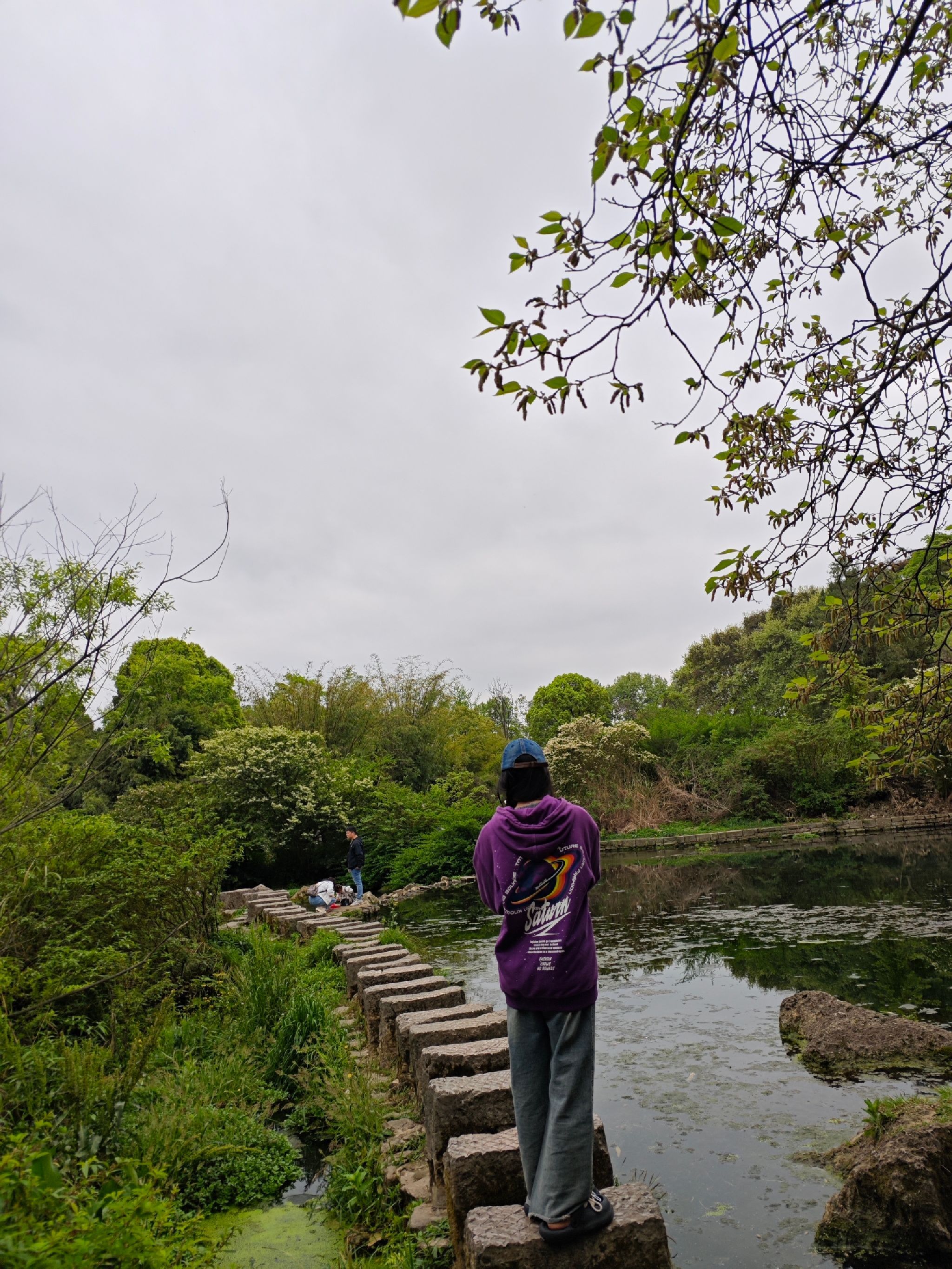 泉湖公园旅行图片 3