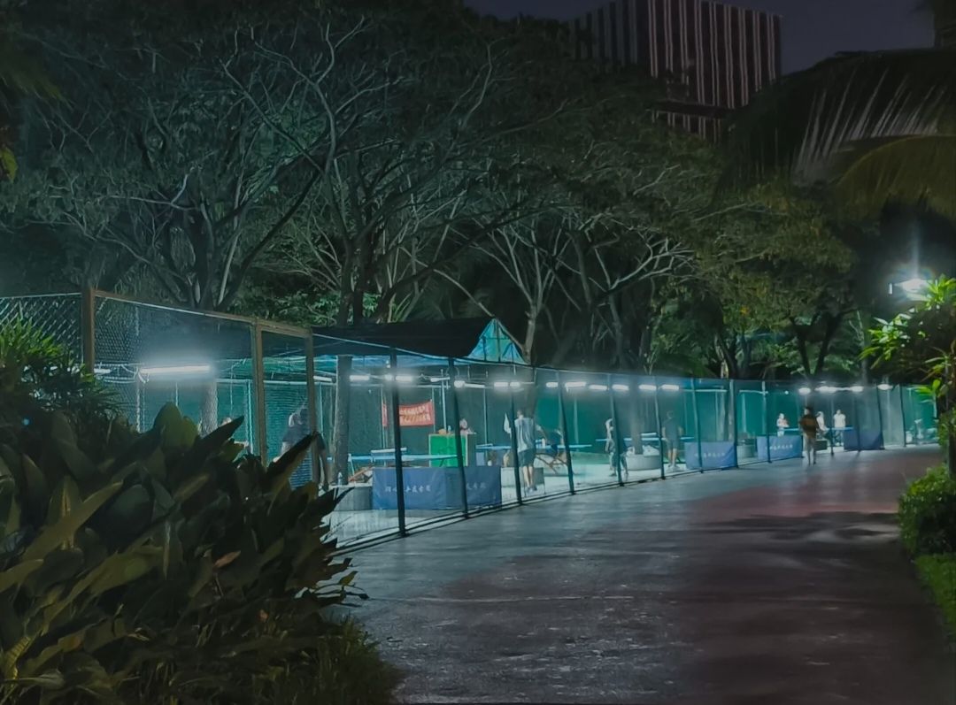 红树林生态公园旅行图片 2
