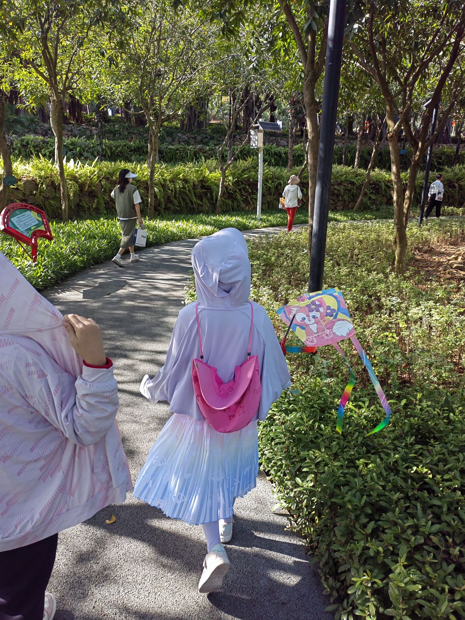 红树林生态公园旅行图片 3