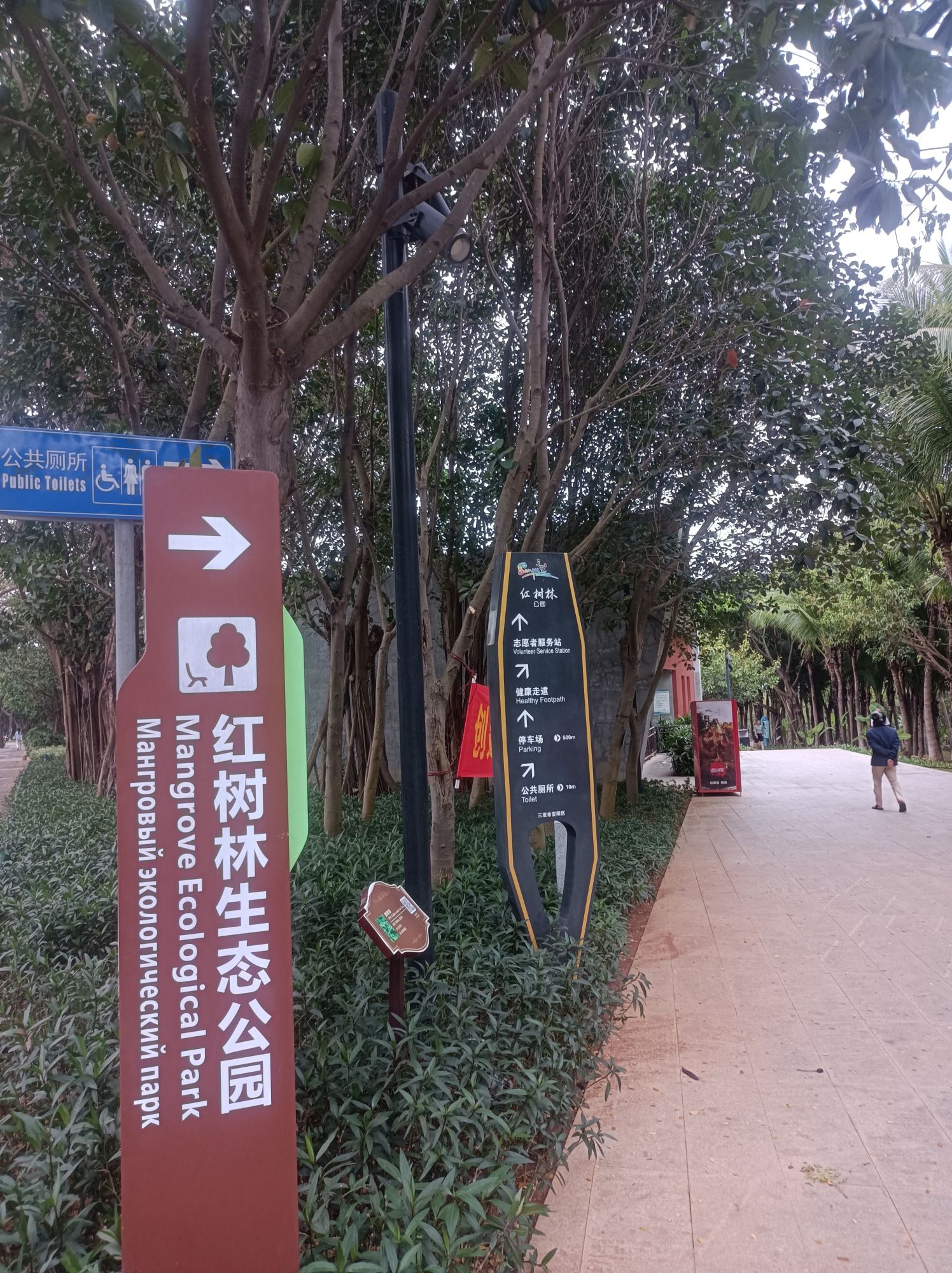 红树林生态公园旅行图片 1