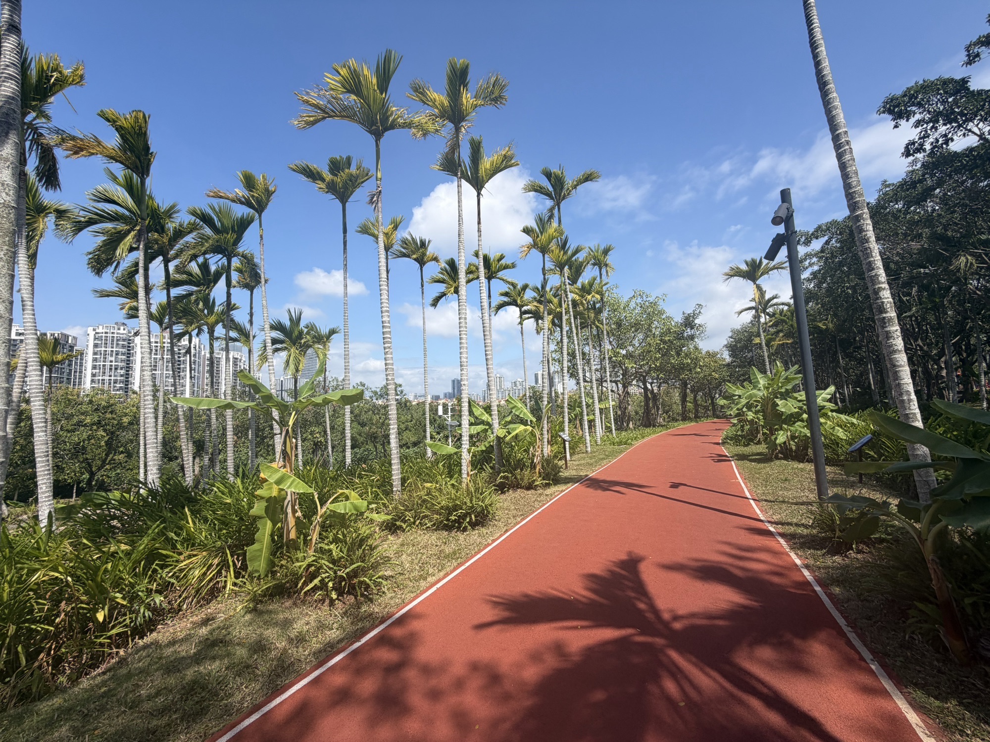 红树林生态公园