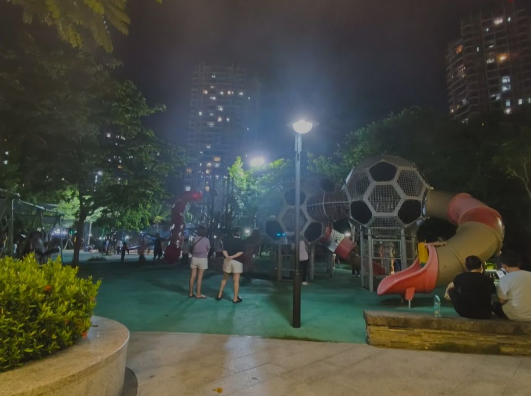 红树林生态公园旅行图片 3