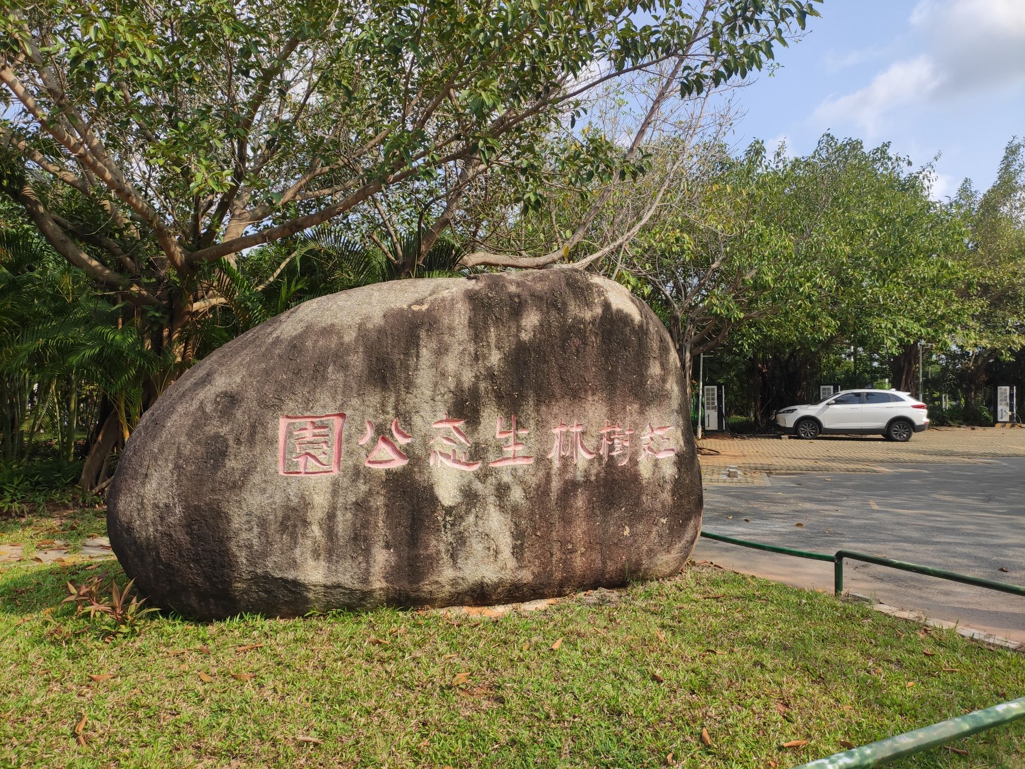 红树林生态公园旅行图片 1