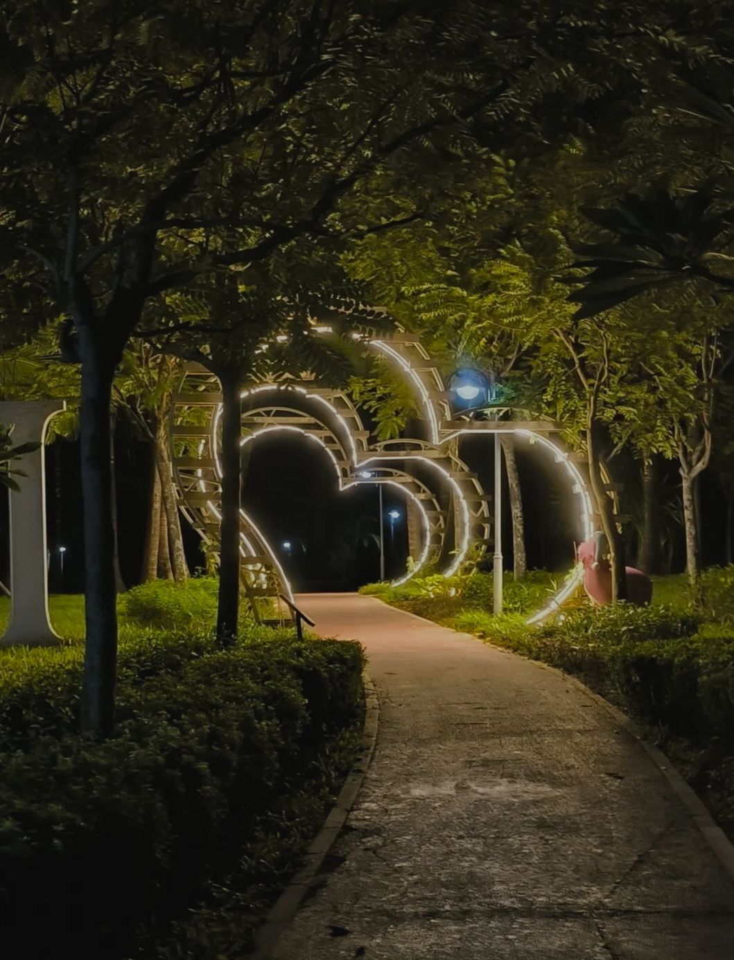 红树林生态公园旅行图片 1