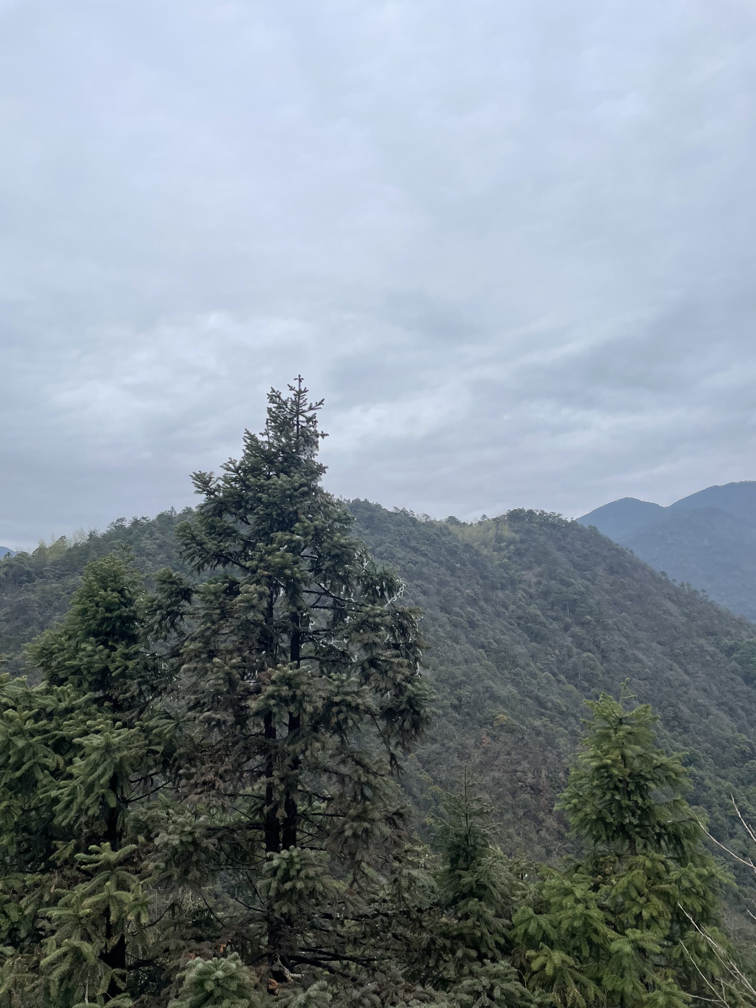 青茅境风景区旅行图片 1